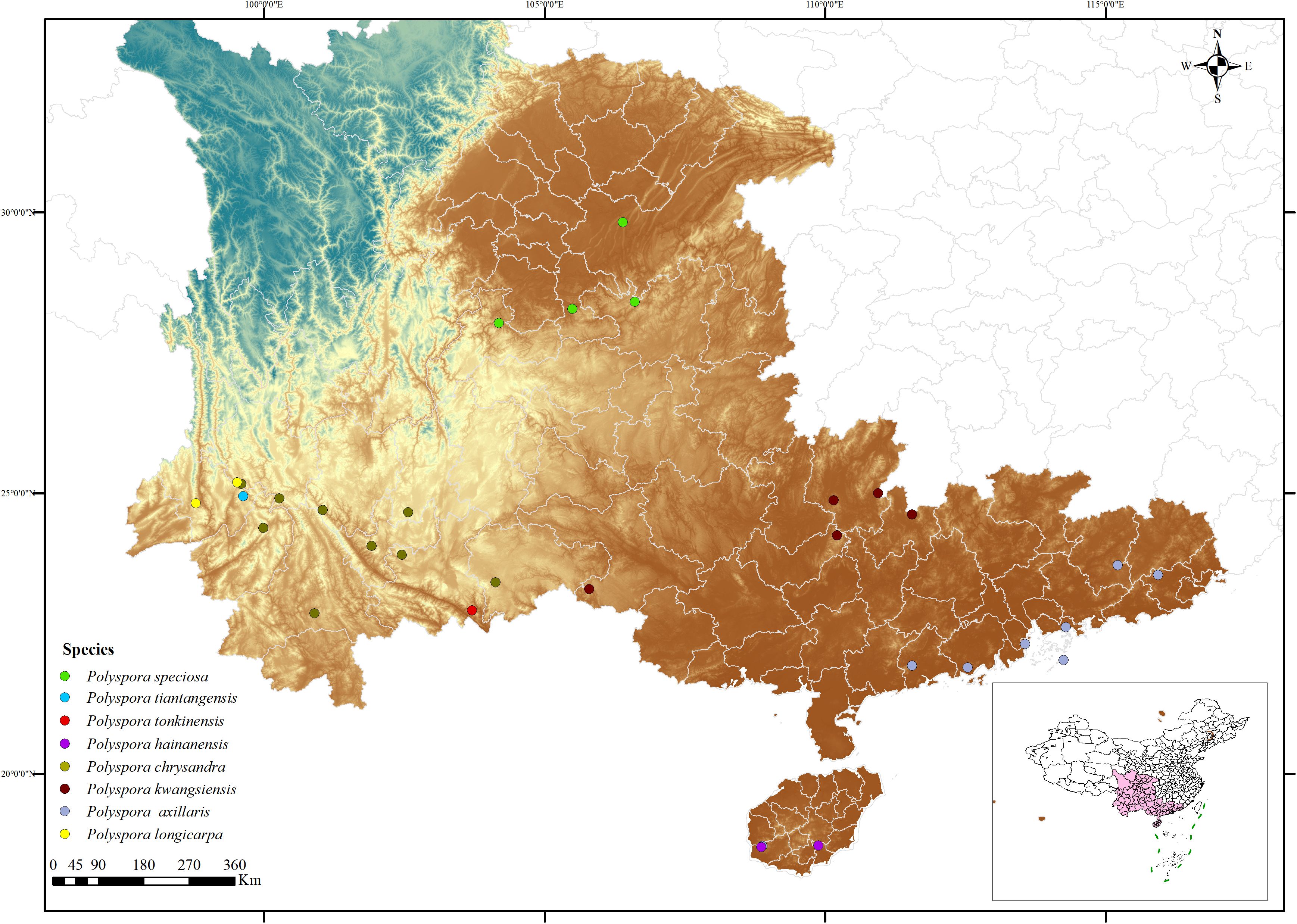 Map showing the distribution of various Polyspora species in a region of China. Different colored dots represent species such as Polyspora speciosa, tiantangensis, tonkinensis, hainanensis, chrysandra, kwangsiensis, axillaris, and longicarpa. An inset map highlights the location within China. Terrain is color-coded for elevation.