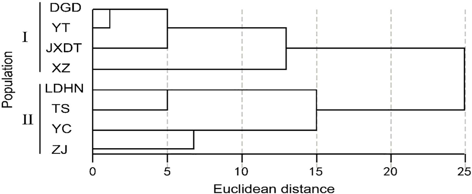 Dendrogram showing hierarchical clustering of populations labeled DGD, YT, JXDT, XZ, LDHN, TS, YC, and ZJ. Groups are divided into two clusters: I and II, based on Euclidean distance, with distances ranging from zero to twenty-five.