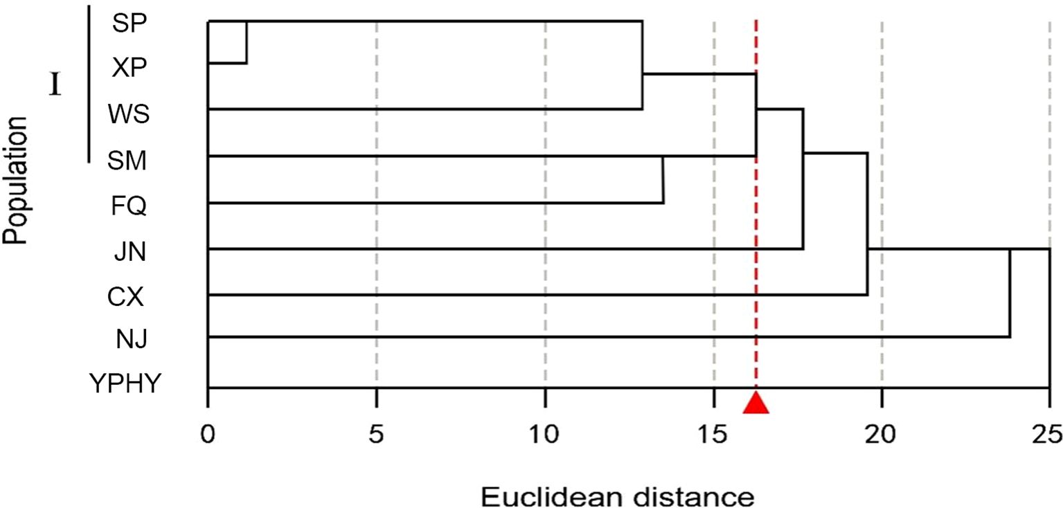Dendrogram showing hierarchical clustering of populations based on Euclidean distance. Populations are labeled as SP, XP, WS, SM, FQ, JN, CX, NJ, and YPHY. The vertical red dashed line and triangle marker indicate a specific Euclidean distance threshold.