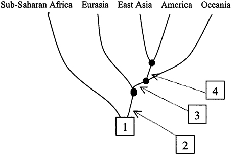 www.frontiersin.org