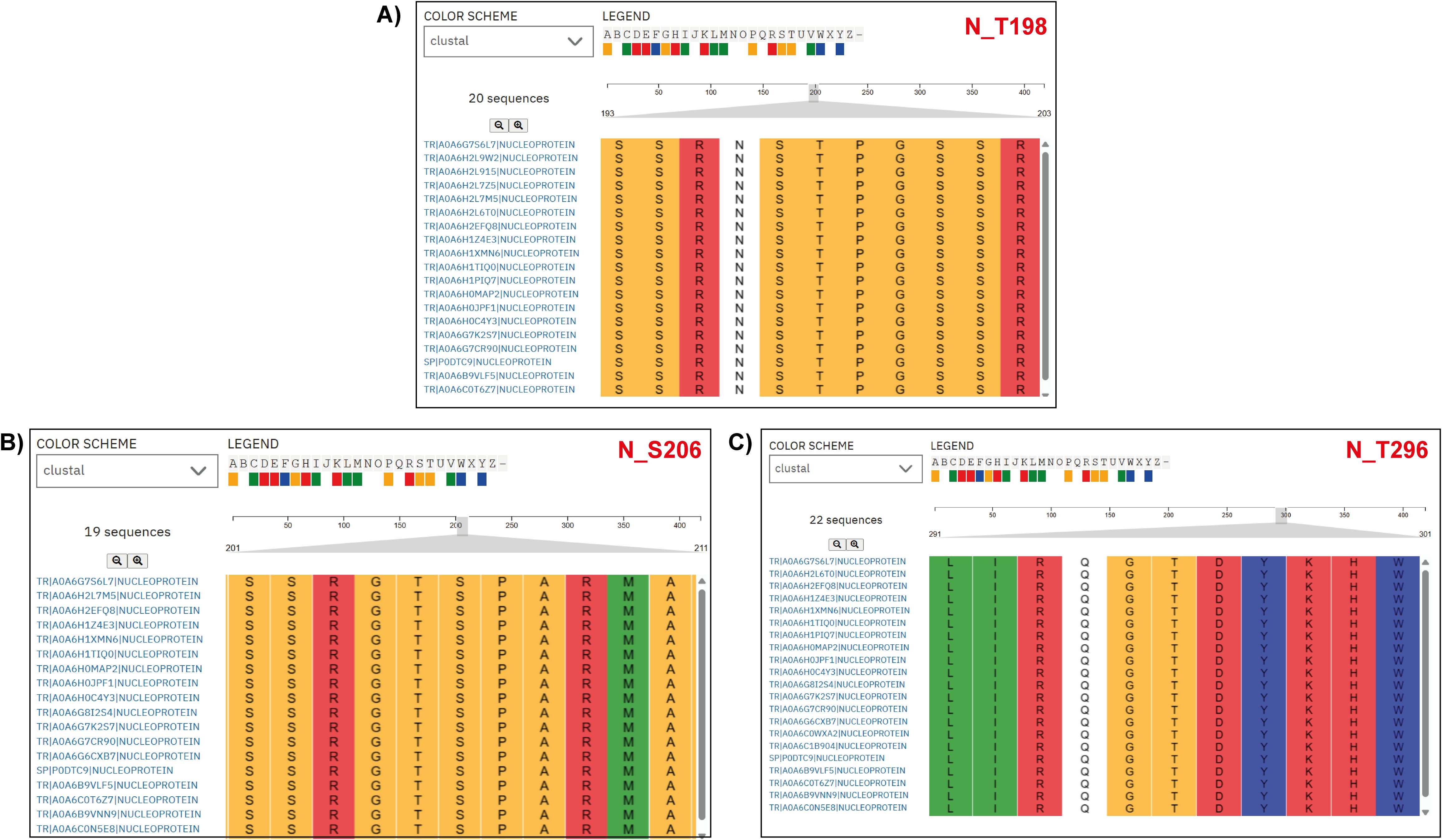 Three panels display sequence alignments using the Clustal color scheme. Panel A shows 20 sequences highlighting N_T198 with a focus on serine (S) and arginine (R). Panel B displays 19 sequences highlighting N_S206, emphasizing serine, arginine, and alanine (A). Panel C presents 22 sequences highlighting N_T296, focusing on leucine (L), arginine, lysine (K), and aspartic acid (D). Each panel includes a legend with color-coded amino acids.