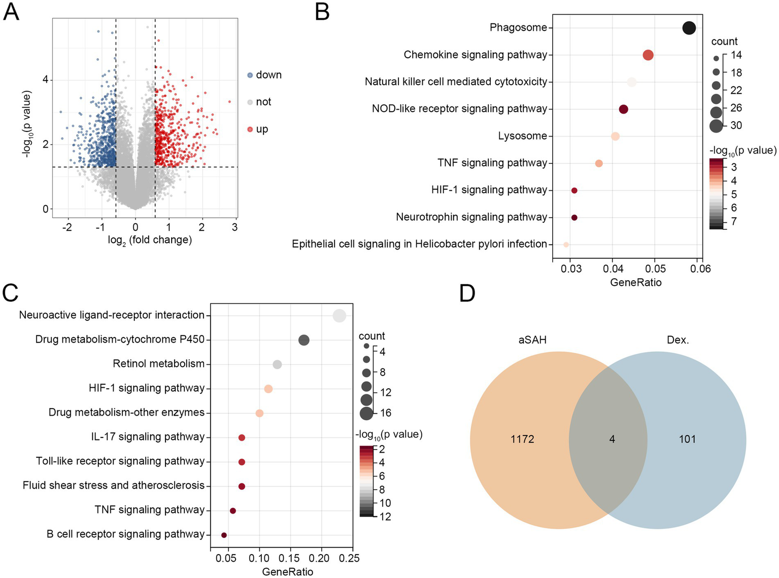A set of graphs displays biological data analysis results. Panel A is a volcano plot showing gene expression changes with points color-coded as upregulated (red), downregulated (blue), or not changed (gray). Panel B is a dot plot of pathway enrichments, with dot size reflecting the count and color indicating significance. Panel C is a similar dot plot for different pathways. Panel D is a Venn diagram comparing gene sets from aSAH and Dex., with overlapping sections indicating shared genes.