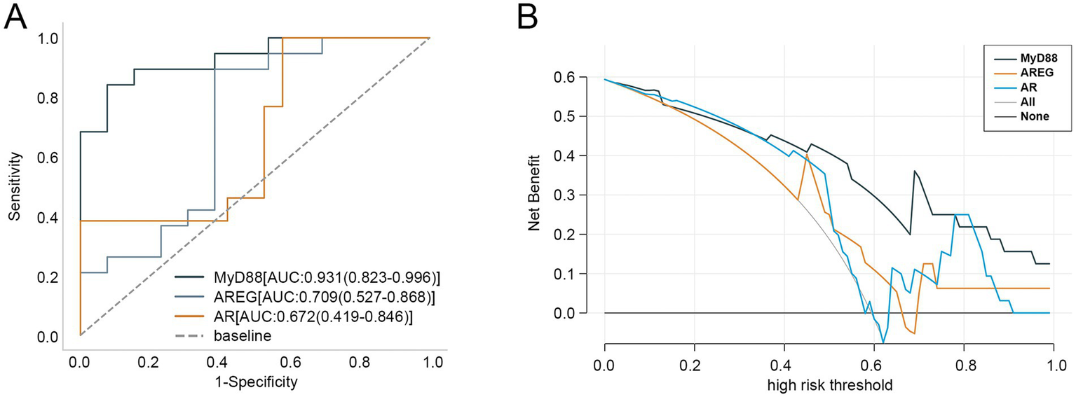 Graphical analysis comparing models MyD88, AREG, and AR. Panel A is an ROC curve with MyD88 showing the highest performance (AUC: 0.931), followed by AREG (AUC: 0.709) and AR (AUC: 0.672). Panel B is a net benefit curve across different high-risk thresholds, indicating MyD88 provides the most net benefit. A legend differentiates the models by color.