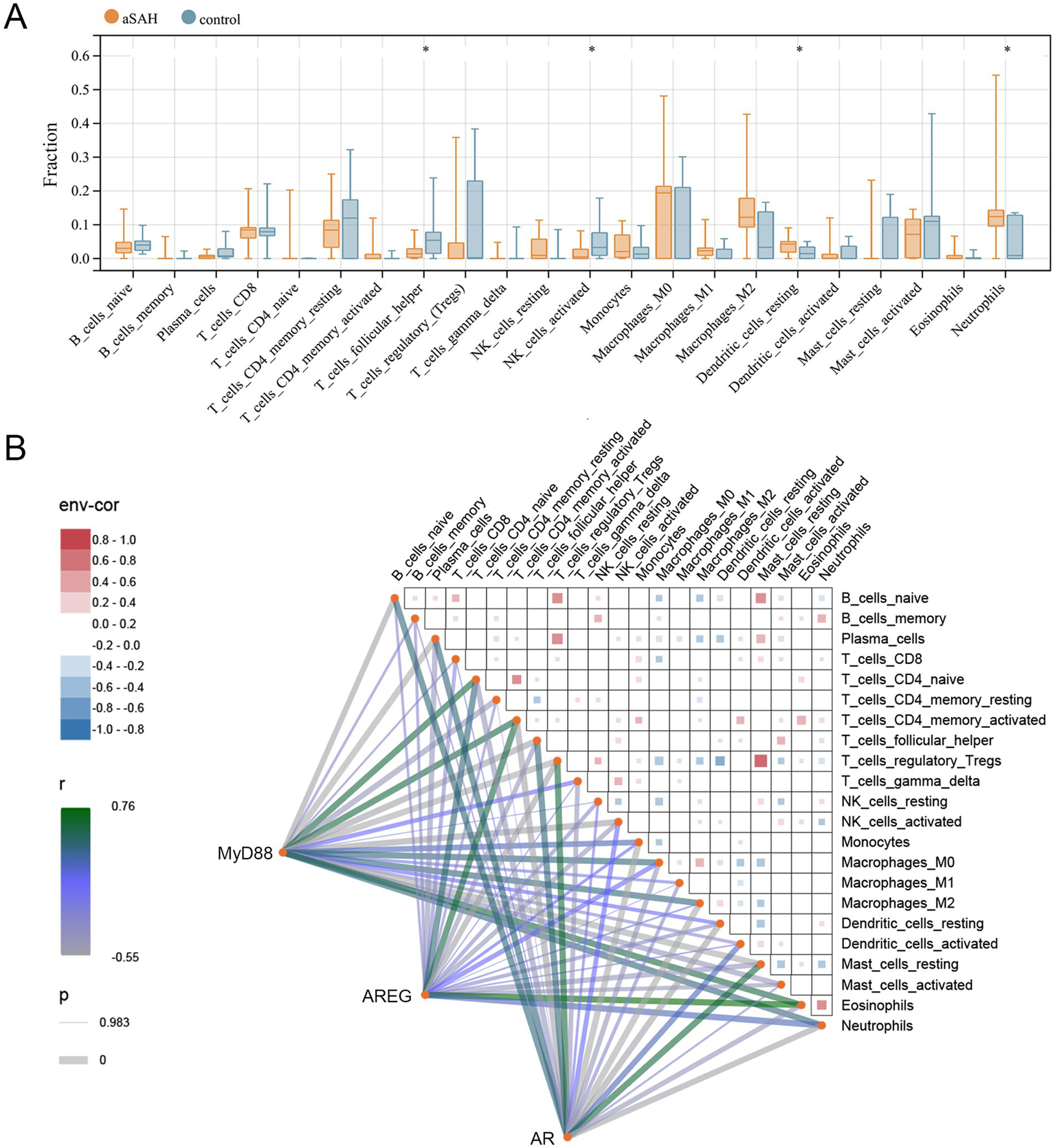 Graph A is a box plot comparing the fraction of various immune cells between aSAH and control groups. Graph B shows a correlation matrix with triangular links highlighting the relationships between cell types and genes MyD88, AREG, and AR. Color gradients indicate correlation strength.