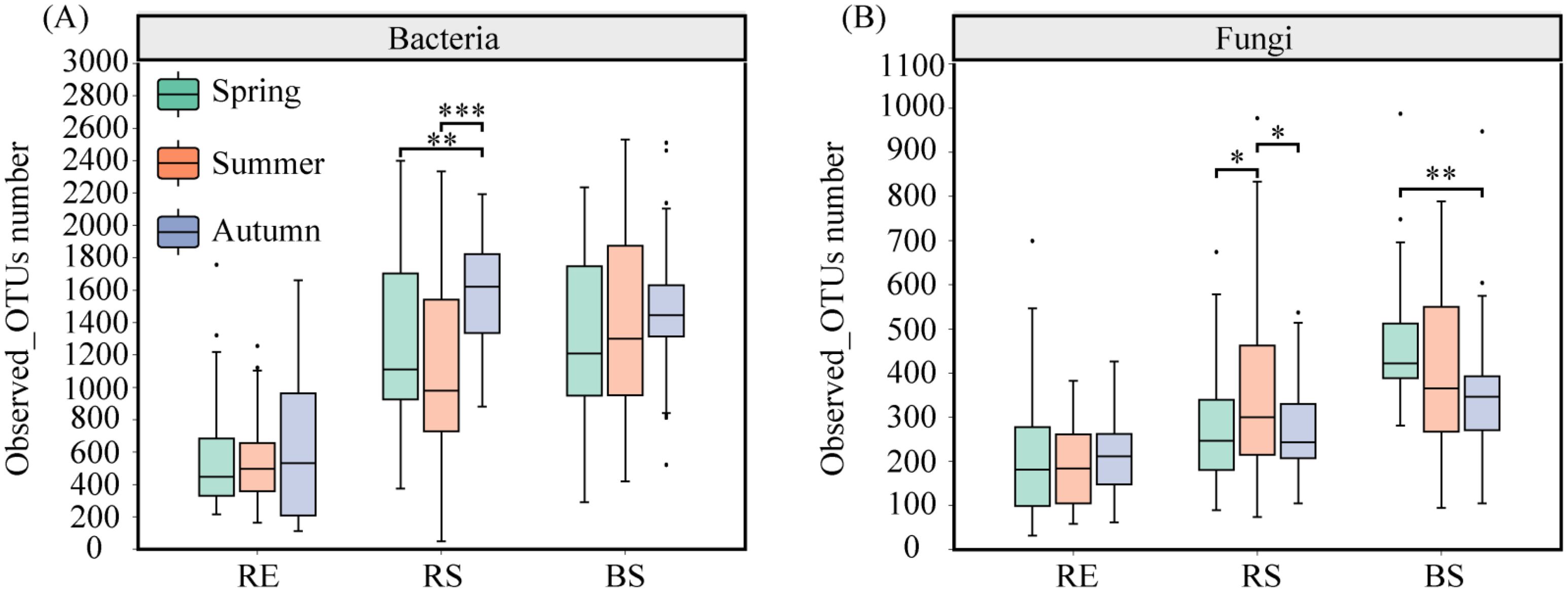 Two box plot graphs compare observed OTUs of bacteria and fungi across seasons. Graph A shows bacteria with higher OTUs in spring. Graph B shows fungi with lower OTUs, with significant differences indicated by asterisks. Seasons are represented as Spring (green), Summer (orange), and Autumn (blue) across three areas labeled RE, RS, and BS.