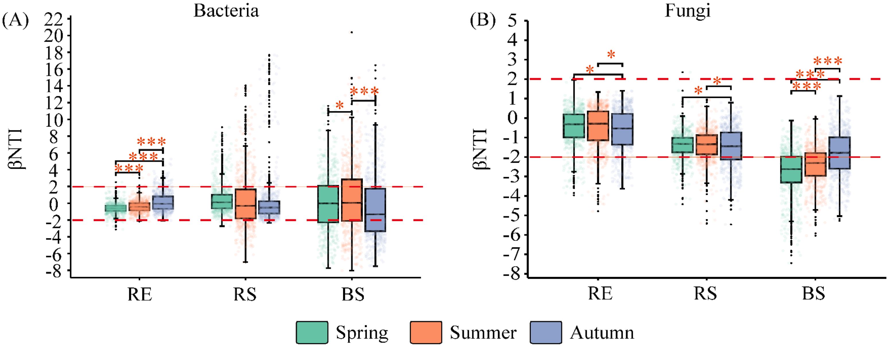 Box plots comparing βNTI values for bacteria and fungi across three environments: RE, RS, and BS. Subfigures (A) and (B) show seasonal variations with green for spring, orange for summer, and blue for autumn. Red dashed lines indicate threshold values, with asterisks denoting significant differences in comparisons.
