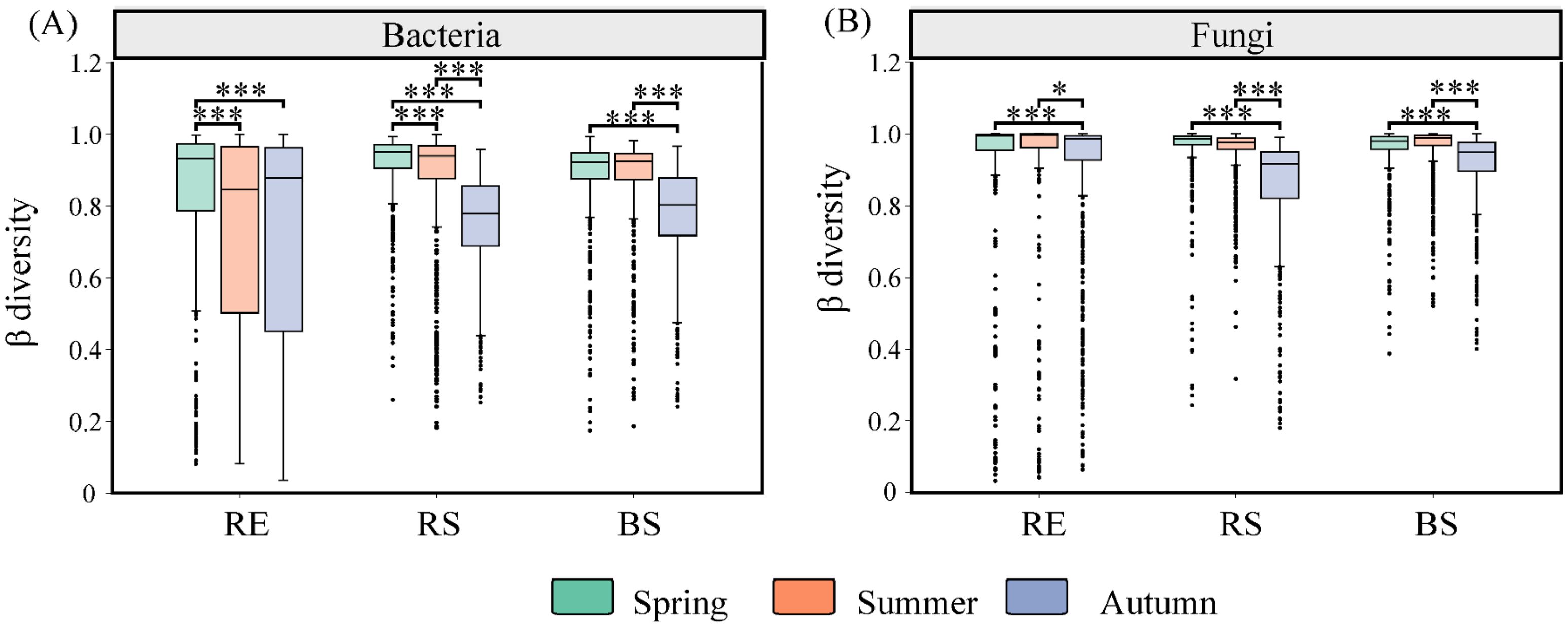 Box plots show beta diversity of bacteria and fungi in three habitats (RE, RS, BS) across spring, summer, and autumn. Bacteria (A) and fungi (B) exhibit significant diversity differences across seasons, marked by asterisks. Spring is green, summer is orange, and autumn is blue.