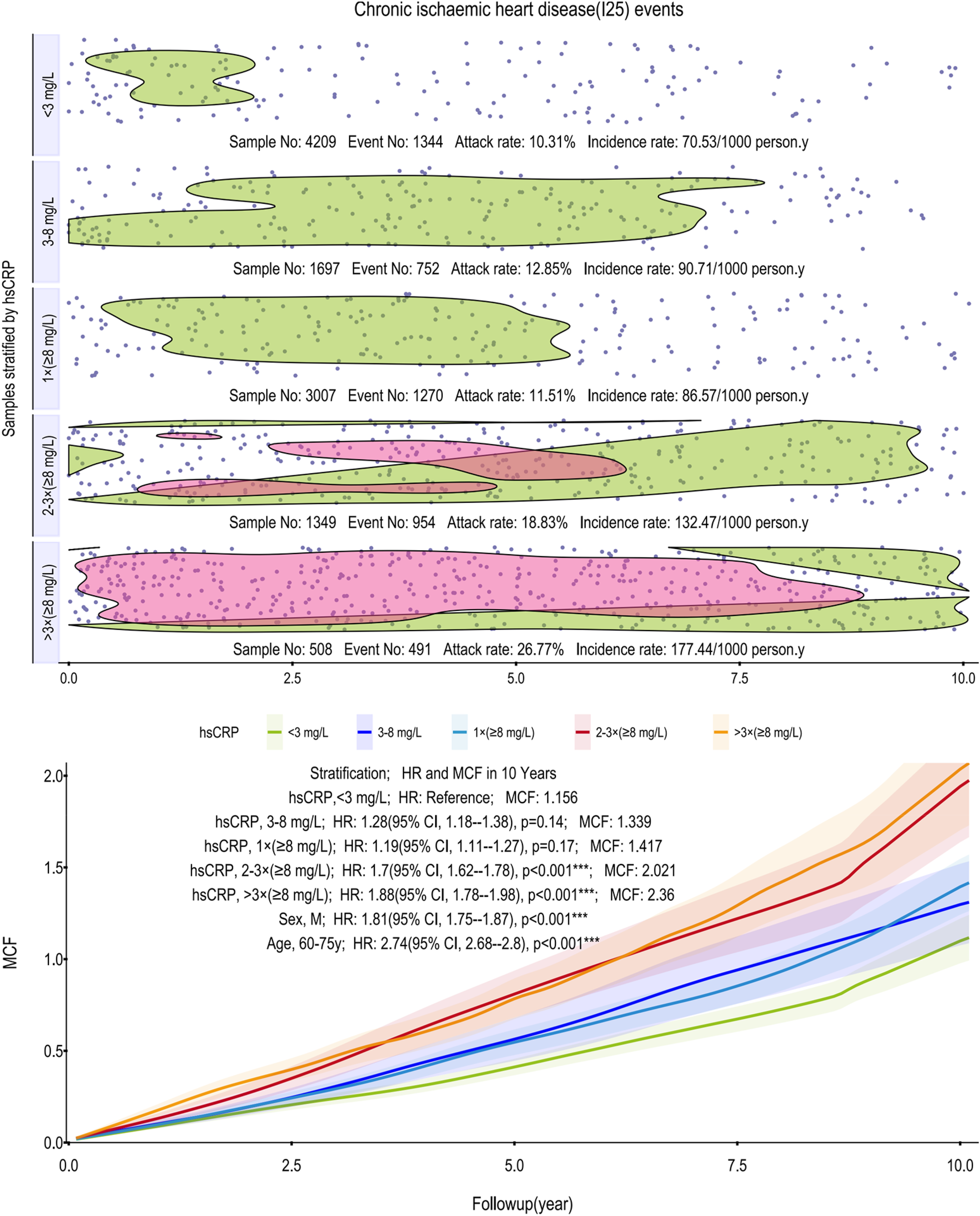 Scatter and density plots depicting chronic ischemic heart disease (CIHD) events stratified by high-sensitivity C-reactive protein (hsCRP) levels. Five groups are shown with varying attack and incidence rates: <3 mg/L, 3-8 mg/L, 1×(≥8 mg/L), 2-3×(≥8 mg/ L), and >3×(≥8 mg/L). A line graph below shows hazard ratios (HR) and mean cumulative function (MCF) over a 10-year follow-up, comparing different hsCRP levels, sex, and age. Each color represents a different stratification, emphasizing risk differences.