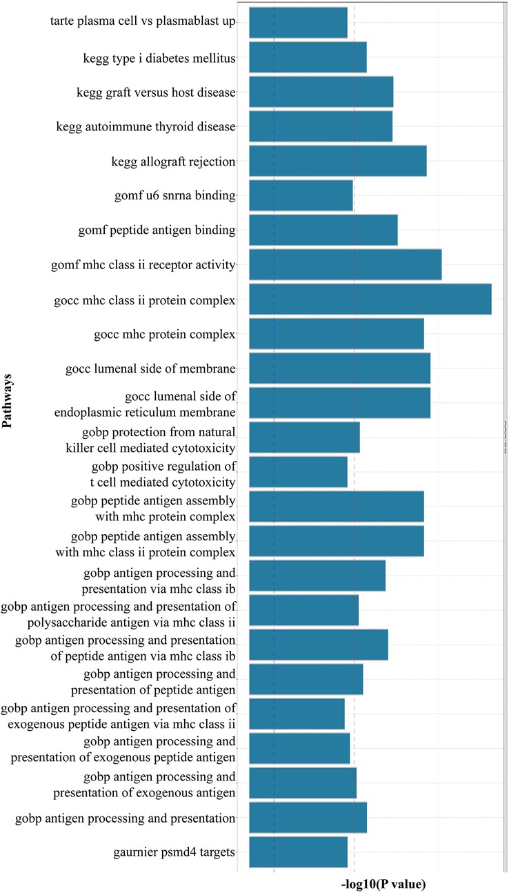 Bar chart displaying pathway enrichment results with pathways listed on the y-axis and –log10(p-value) on the x-axis. The most significantly enriched pathways include MHC class II protein complex, MHC protein complex, and antigen processing and presentation pathways. Other notable pathways are type I diabetes mellitus, graft-versus-host disease, autoimmune thyroid disease, and allograft rejection. Functional annotations such as peptide antigen binding, U6 snRNA binding, and cytotoxicity regulation also appear enriched, highlighting strong associations with immune-related mechanisms.