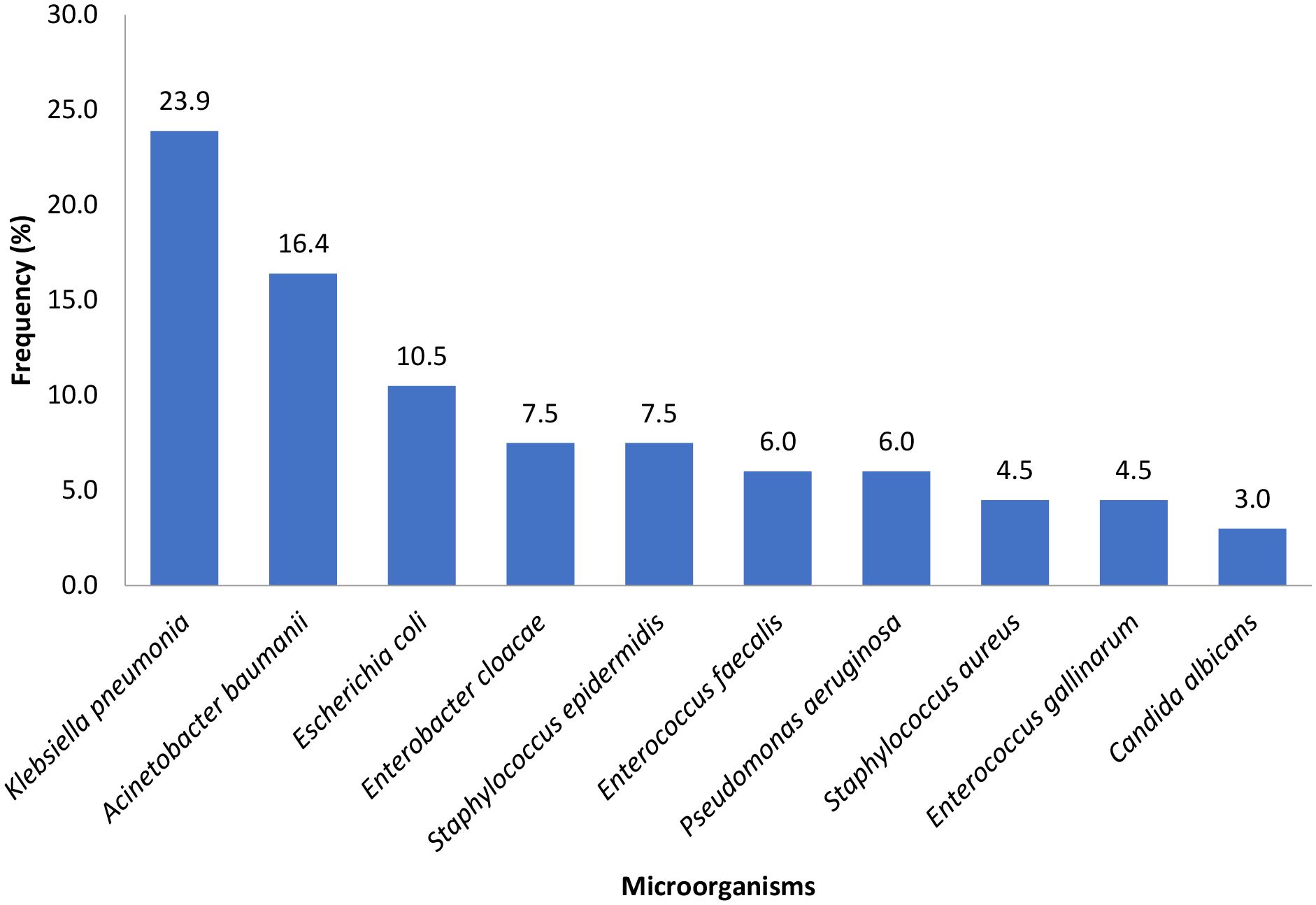 Bar chart showing the frequency of various microorganisms. Klebsiella pneumonia leads with 23.9%, followed by Acinetobacter baumannii at 16.4%, and Escherichia coli at 10.5%. Other microorganisms include Enterobacter cloacae and Staphylococcus epidermidis at 7.5% each, Enterococcus faecalis and Pseudomonas aeruginosa at 6% each, Staphylococcus aureus and Enterococcus gallinarum at 4.5% each, and Candida albicans at 3%.