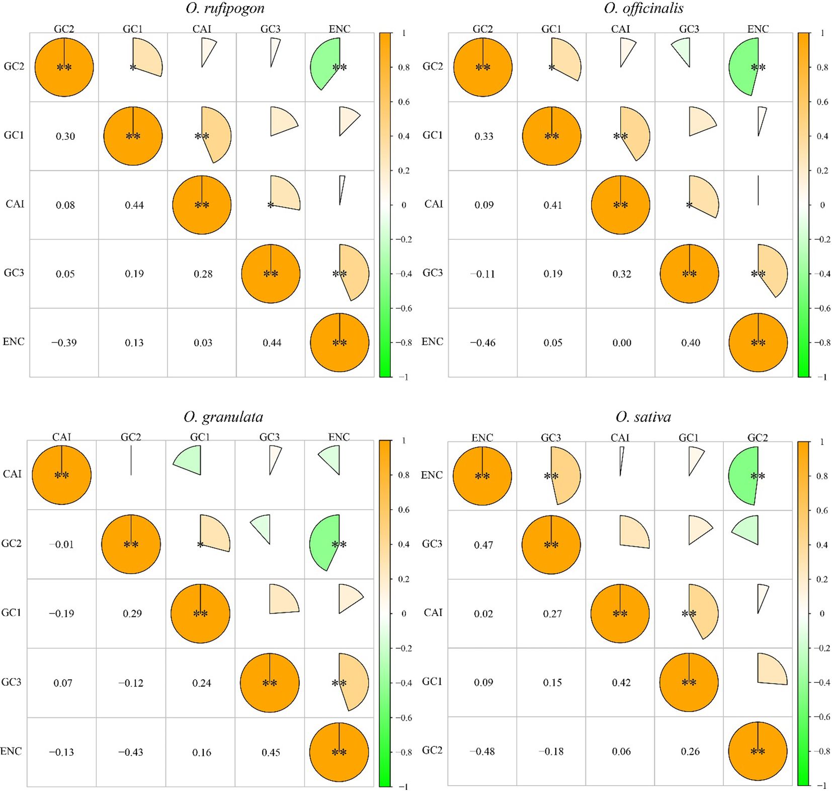 Correlation matrices for species O. rufipogon, O. officinalis, O. granulata, and O. sativa. Each matrix displays correlation coefficients, represented by circle sizes and colors, between genetic variables GC2, GC1, CAI, GC3, and ENC. The color scale from green to orange indicates correlation strength from -1 to 1. Statistically significant correlations are marked with asterisks.