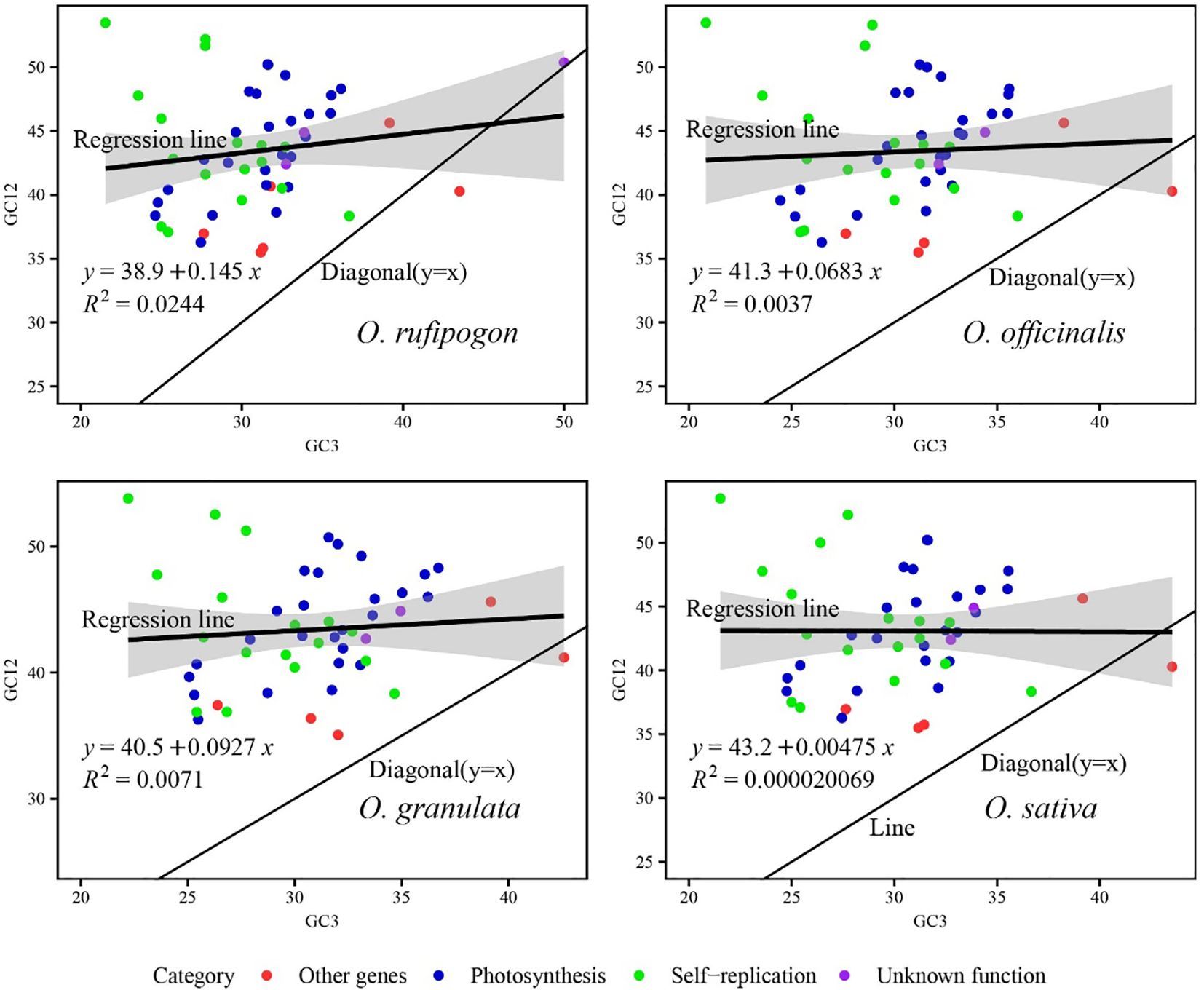 Four scatter plots show the relationship between GC3 and GC12 content for different Oryza species: O. rufipogon, O. officinalis, O. granulata, and O. sativa. Each plot features a regression line with varying equations and R-squared values. Data points are color-coded into four categories: other genes, photosynthesis, self-replication, and unknown function. A diagonal line, y=x, is present on each plot. Shaded areas around the regression lines indicate confidence intervals.