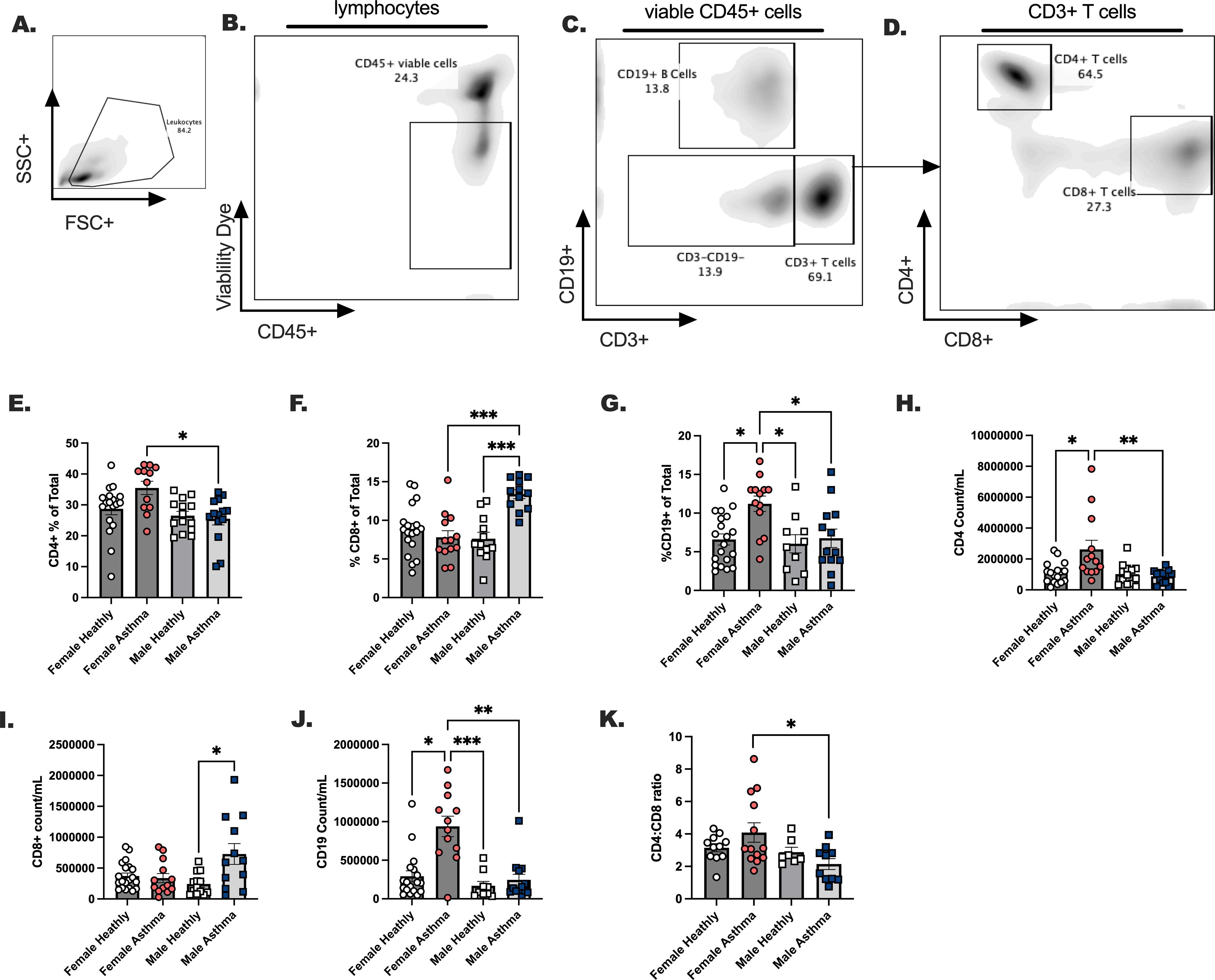 Flow cytometry panels and bar graphs analyze immune cells in different groups. Panels A-D display gating strategies for lymphocytes, viable CD45+ cells, CD3+ T cells, and CD4+ or CD8+ subsets. Bar graphs E-L compare percentages and counts of CD4+, CD8+, and CD19+ cells, and CD4:CD8 ratios among female and male healthy and asthmatic groups, indicating statistical significance with asterisks.