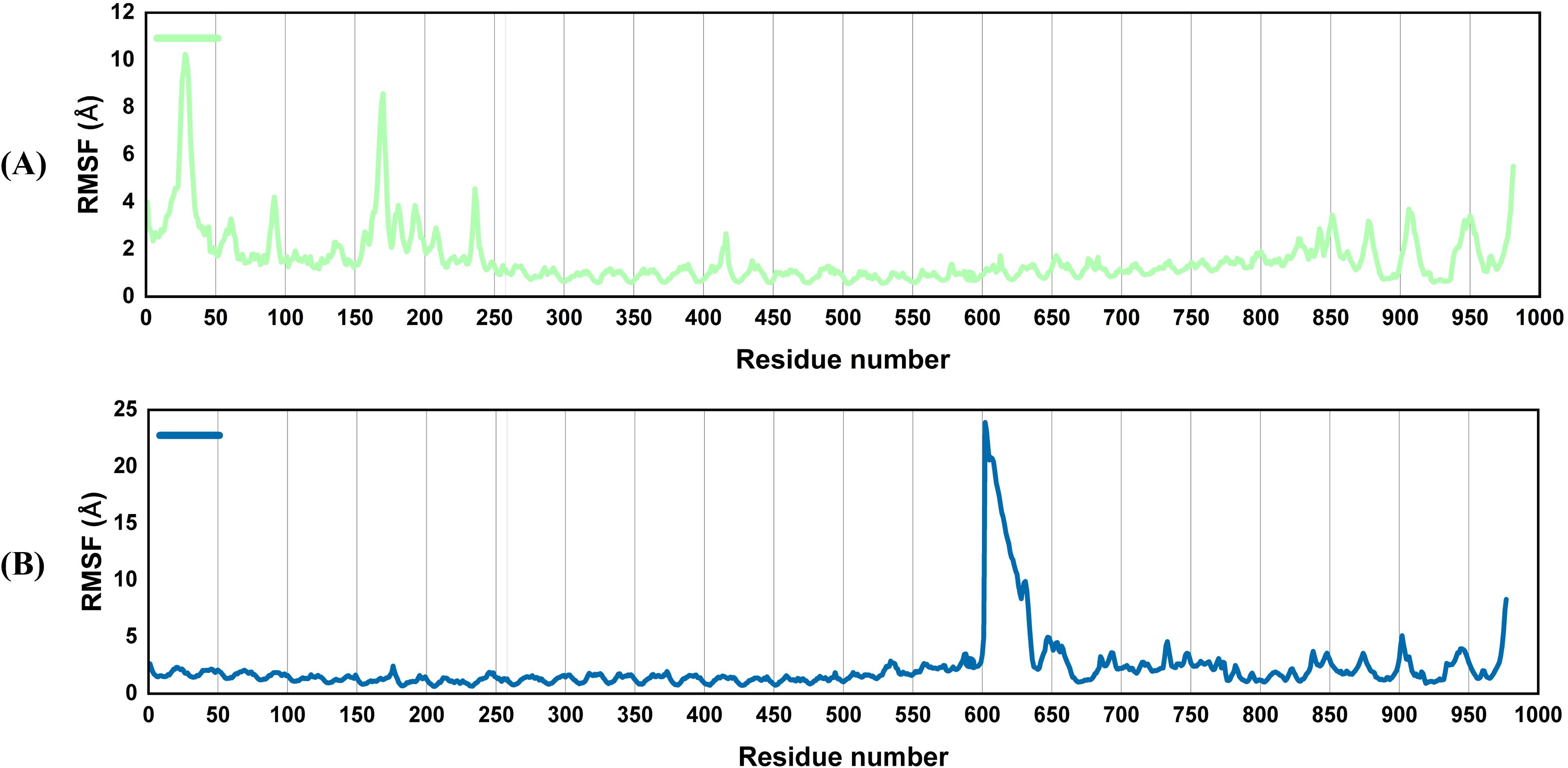 Two line graphs display RMSF (root mean square fluctuation) versus residue number. Graph A in light green shows peaks at residue numbers around 50 and 200, with a high peak near 50. Graph B in dark blue shows a major peak near residue number 600, remaining relatively low elsewhere. Both graphs have similar axes ranging from 0 to 1000 for residue numbers.