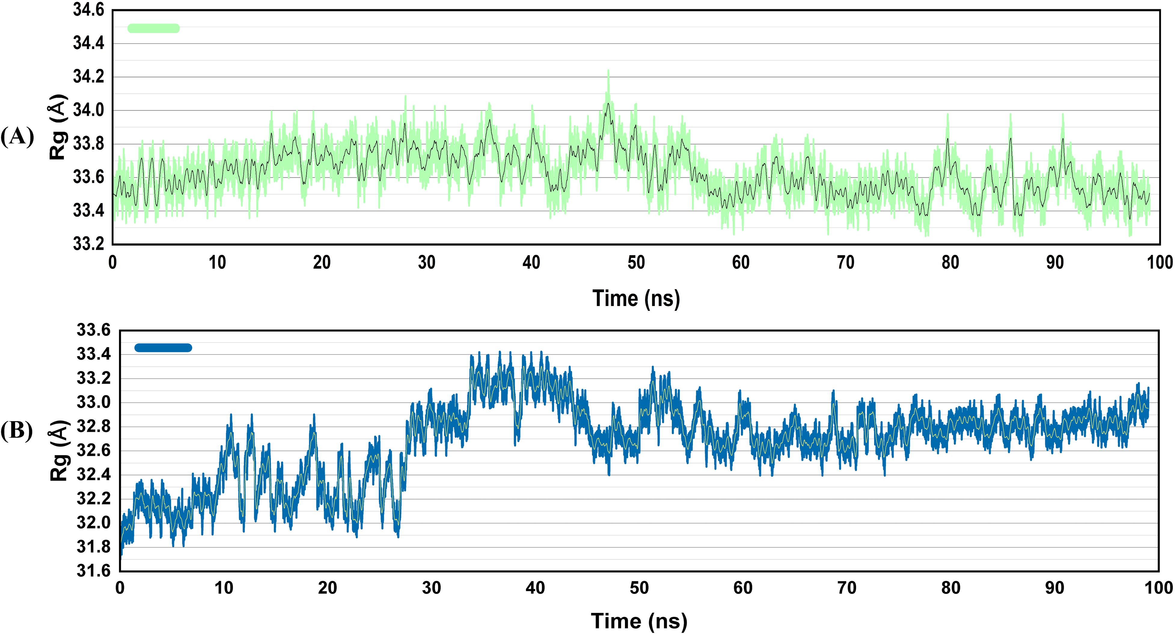 Two line graphs show radius of gyration (Rg) over time in nanoseconds. Graph A, in green, fluctuates around 33.8 to 34.6 angstroms. Graph B, in blue, shows a trend from 31.6 to 33.6 angstroms. Both span 0 to 100 nanoseconds.