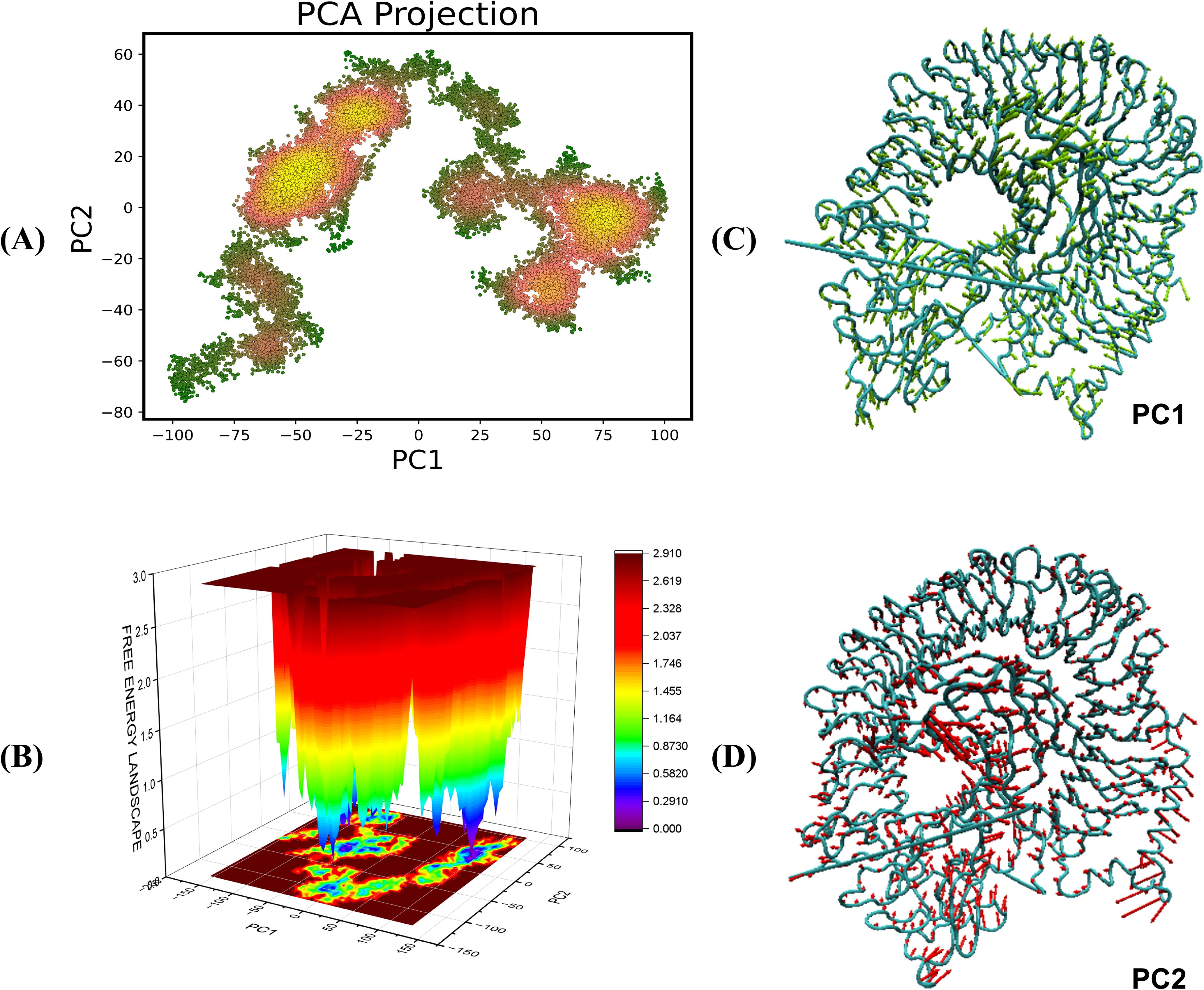 (A) Scatter plot showing a PCA projection of data points colored from yellow to green. (B) 3D graph depicting a free energy landscape with a color gradient from red to blue. (C) Molecular structure illustration labeled PC1, displaying a curled, looped formation. (D) Another molecular structure labeled PC2, with a similar, but distinct configuration, featuring red highlights.