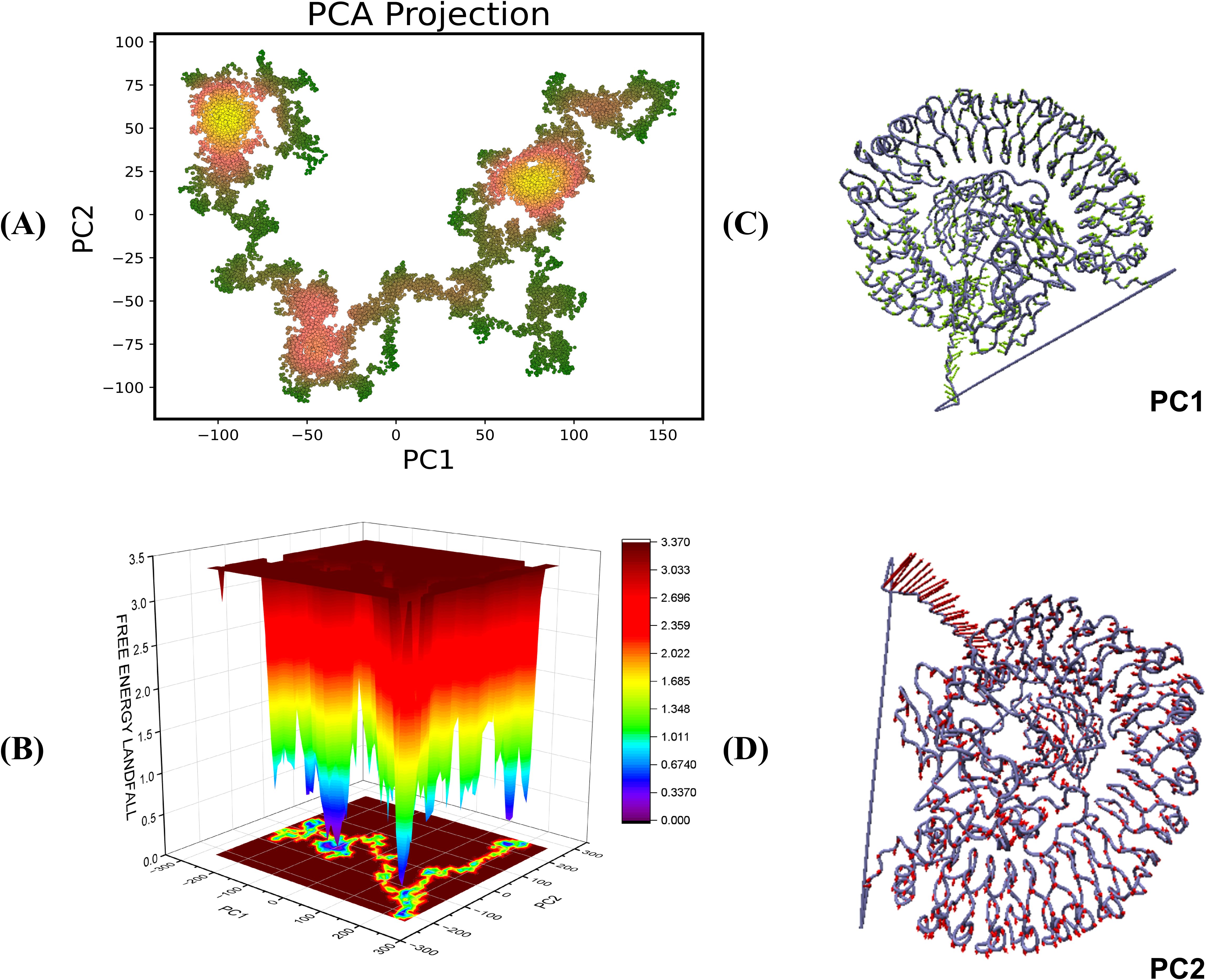 Panel A shows a PCA projection scatter plot with PC1 and PC2 axes, displaying a complex fractal-like pattern. Panel B presents a 3D free energy landscape with a color gradient from blue to red, indicating energy levels. Panels C and D depict molecular structures corresponding to PC1 and PC2, respectively, highlighting intricate coil formations.