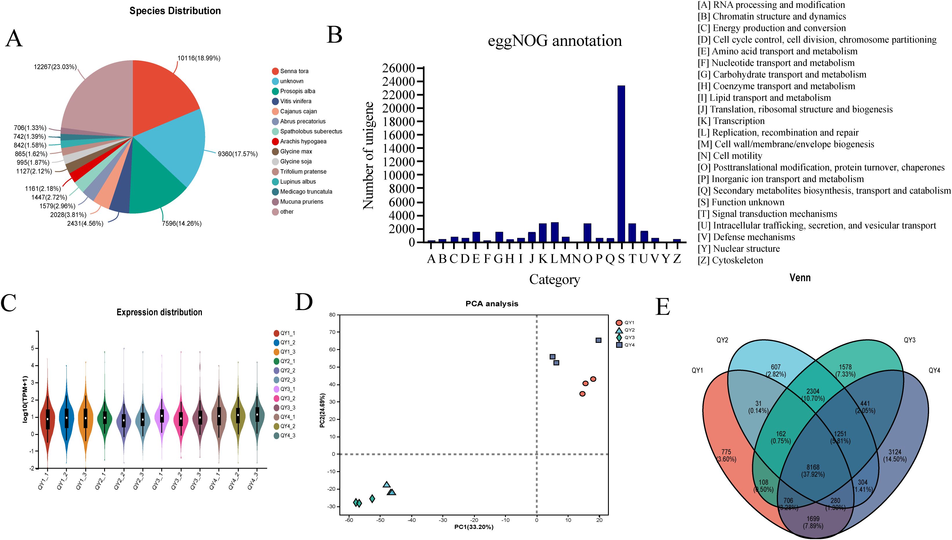 A set of five panels: A) A pie chart showing species distribution, with Senna tora and unknown species as the largest segments. B) A bar chart displaying eggNOG annotation categories, with 'S' (function unknown) having the highest unigene count. C) Violin plots illustrating expression distribution across different samples, labeled QY1 to QY4. D) A PCA analysis plot showing data points for QY1 to QY4, with clear groupings. E) A Venn diagram depicting overlaps among QY1 to QY4, with section sizes indicating shared and unique elements.