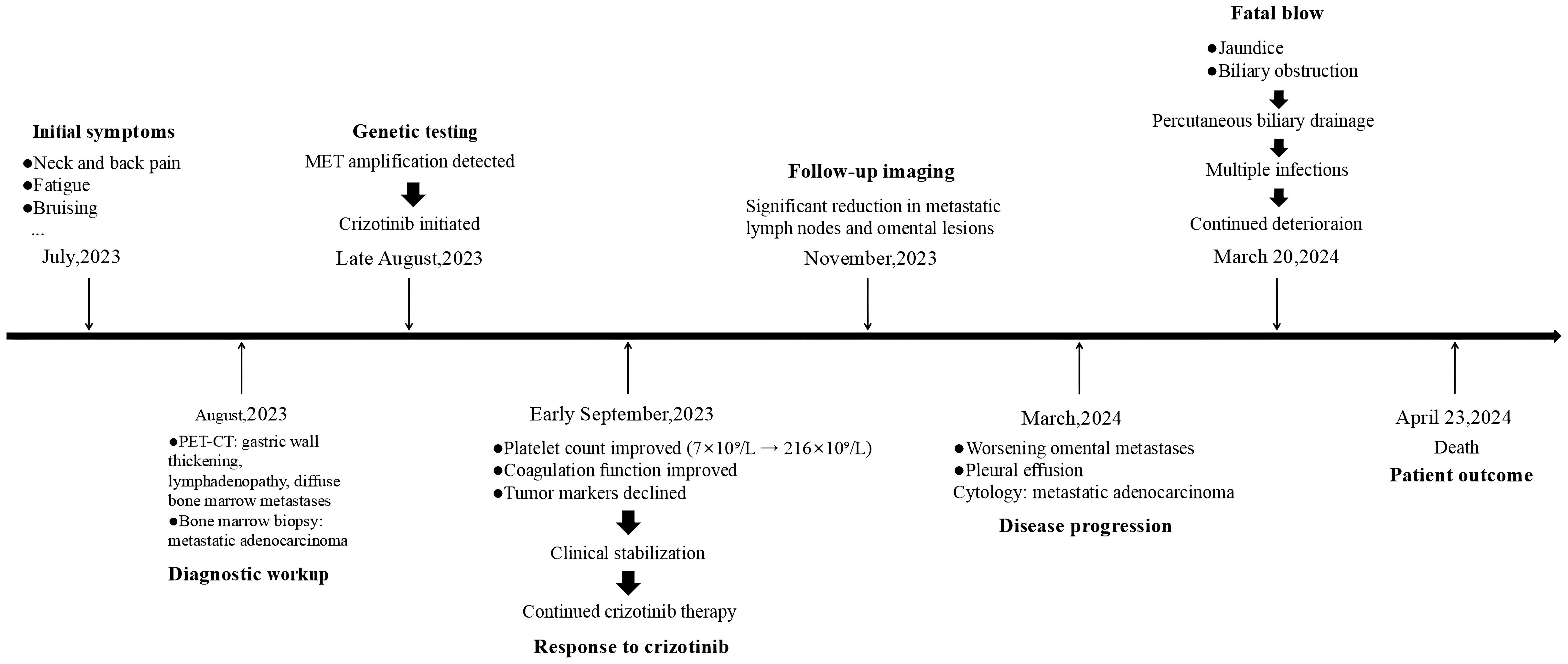 Timeline illustrating a patient's medical journey from July 2023 to April 2024. Initial symptoms in July 2023 include neck pain, fatigue, and bruising. Diagnostic workup in August 2023 shows gastric wall thickening and adenocarcinoma. Genetic testing in late August 2023 detects MET amplification; crizotinib is initiated. By September 2023, improvement in platelet count, coagulation, and tumor markers is noted. November 2023 imaging shows reduced metastatic lesions. By March 2024, disease progresses with worsening metastases and pleural effusion. The patient experiences jaundice in March 2024, leading to deterioration and death on April 23, 2024.