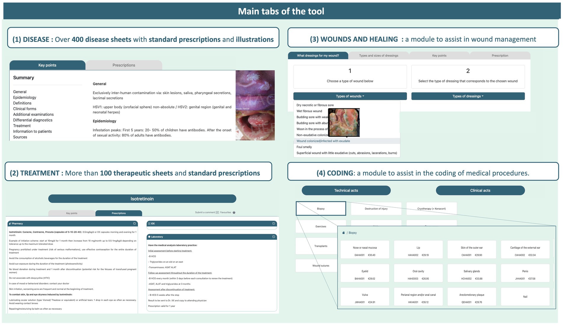 Main tabs of a medical tool interface including four modules: (1) Disease section with over 400 disease sheets, including genital herpes details and images; (2) Treatment section with more than 100 therapeutic sheets, featuring isotretinoin details; (3) Wounds and Healing section for wound management, showing types of wounds and dressings; (4) Coding module for medical procedure coding, listing technical and clinical acts, like biopsy details.