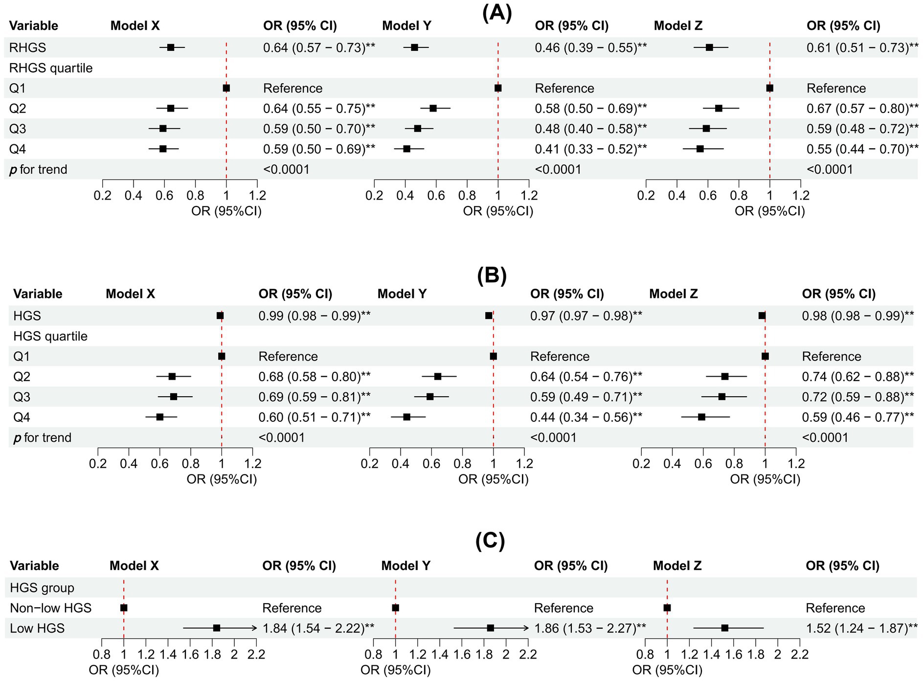 Forest plots depicting odds ratios (OR) with 95% confidence intervals (CI) for various models. (A) Displays ORs for RHGS and RHGS quartiles across Models X, Y, and Z. Results show decreasing ORs from Q2 to Q4 with significant p-values.(B) Shows ORs for HGS and HGS quartiles across the same models, with decreasing ORs from Q2 to Q4 and significant trends.(C) Illustrates ORs for non-low versus low HGS groups, indicating increased risk in the low HGS group across models. All findings present significant p-values.
