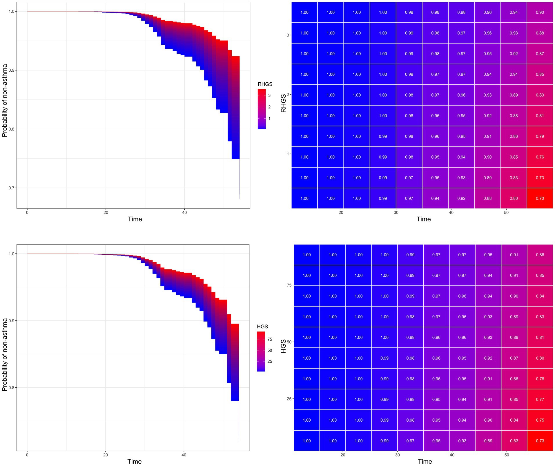 Two sets of graphs analyze the probability of non-asthma against time for different RHGS and HGS scores. The left panels display survival curves with color gradients from blue to red indicating scores. The right panels use heatmaps to show probability values, transitioning from blue (high probability) to red (low probability) as time increases. The top row focuses on RHGS scores one to three, while the bottom row represents HGS scores twenty-five to seventy-five.