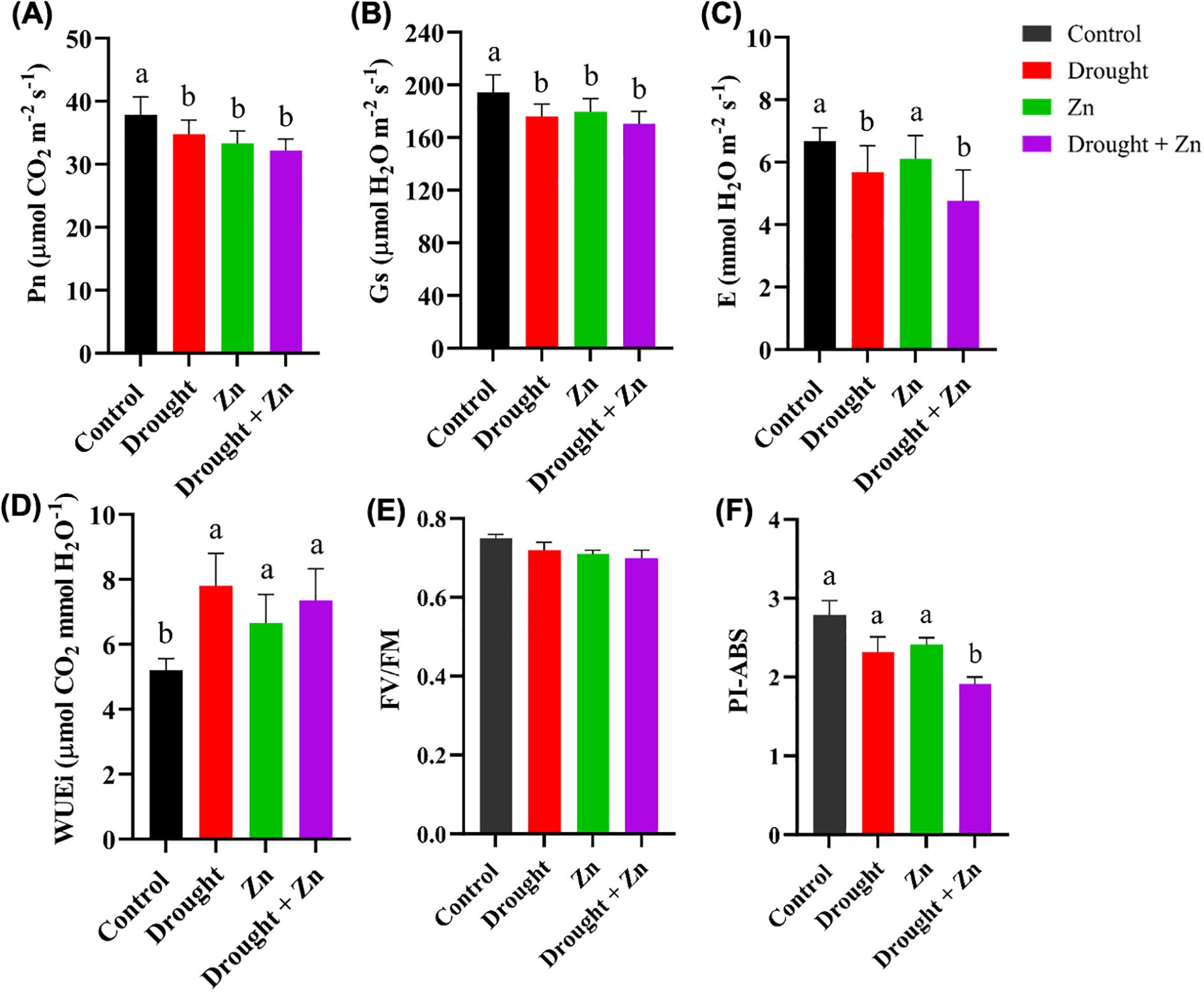 Group of six bar graphs labeled A to F, comparing physiological metrics under four treatments: Control, Drought, Zn, Drought + Zn. (A) Photosynthesis rate (Pn) shows higher rates in Control, lower in others. (B) Stomatal conductance (Gs) is similar across all treatments. (C) Transpiration rate (E) is highest in Control and Zn. (D) Water use efficiency (WUEi) is lower in Control. (E) Maximum quantum efficiency of PSII (Fv/Fm) is consistent across treatments. (F) Performance index (PI-ABS) is highest in Control. Different letters indicate significant differences. Bars are color-coded and labelled for clarity.