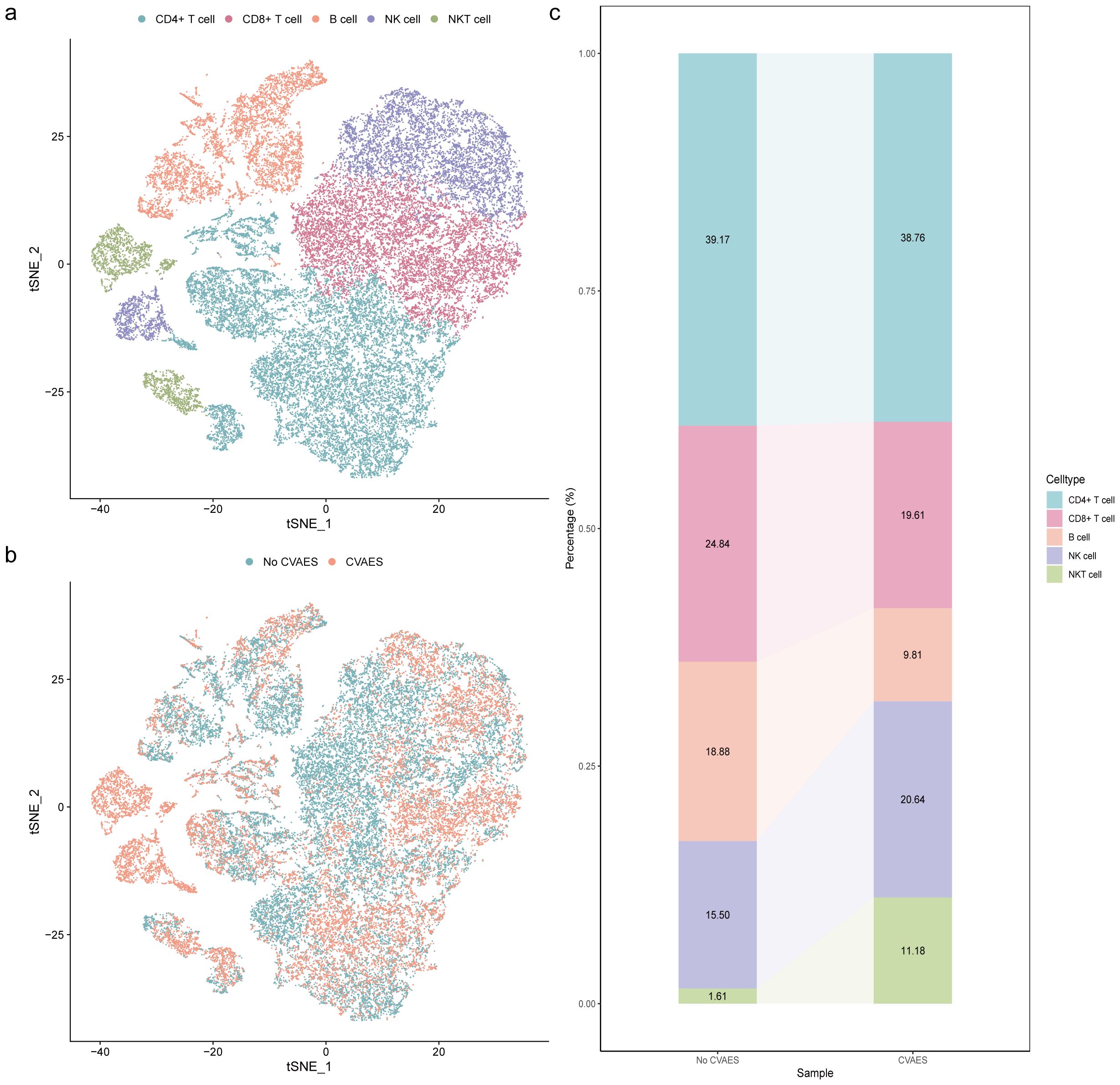 Three-panel visualization. Panel a shows a t-SNE plot of immune cell types, with distinct clusters colored for CD4+ T cells, CD8+ T cells, B cells, NK cells, and NKT cells. Panel b displays another t-SNE plot, highlighting differences between CVAES and No CVAES groups. Panel c is a bar chart representing the percentage composition of each cell type within samples, divided into CVAES and No CVAES categories, with percentage values within the bars.