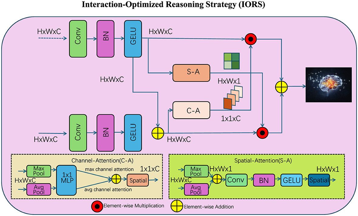 Diagram illustrating an Interaction-Optimized Reasoning Strategy (IORS) with Conv, BN, and GELU layers processing input through channel-attention (C-A) and spatial-attention (S-A) modules. Max and average pooling, element-wise multiplication, and addition are shown with flow leading to a brain image, symbolizing cognitive output.