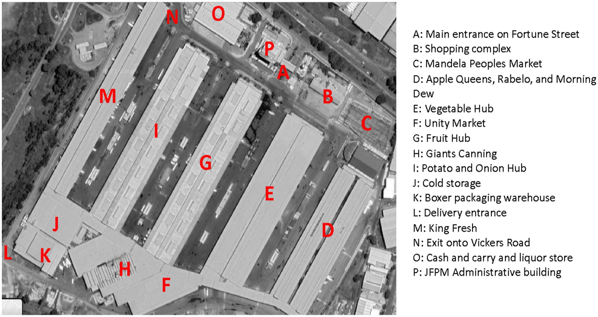 Aerial view of a warehouse complex labeled with letters A to P, corresponding to a key. Key locations include main entrance, shopping complex, Mandela Peoples Market, various hubs for vegetables, fruits, and potatoes, cold storage, packaging warehouse, delivery entrance, exit, cash and carry, administrative building, and more.