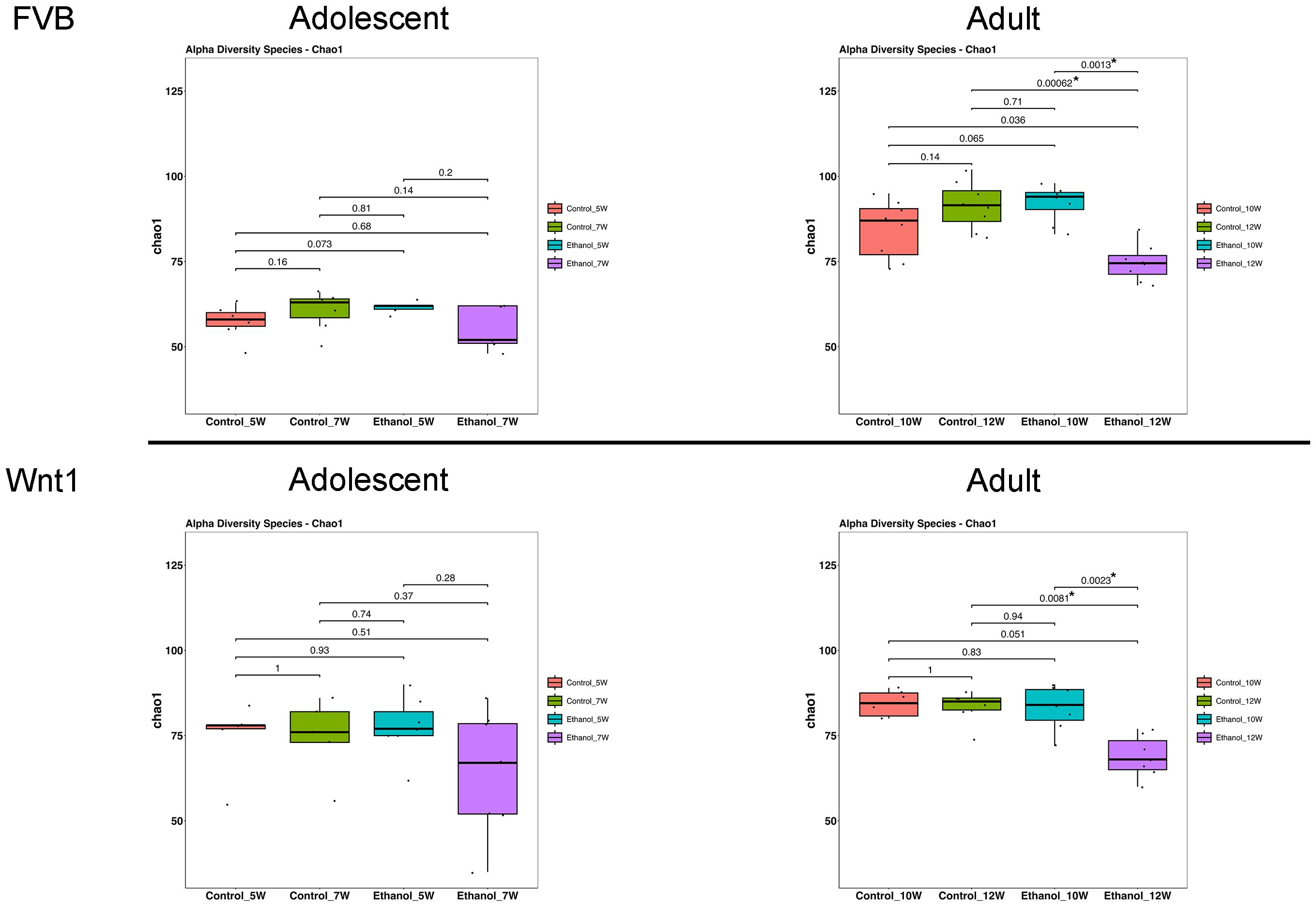 Box plots comparing alpha diversity species using the Chao1 index across different groups. Top row: “FVB” shows adolescent and adult groups. Bottom row: “Wnt1” with similar age groupings. Each plot contrasts control and ethanol-treated groups at various weeks. Significance levels are indicated above comparisons. Colors differentiate treatment groups.