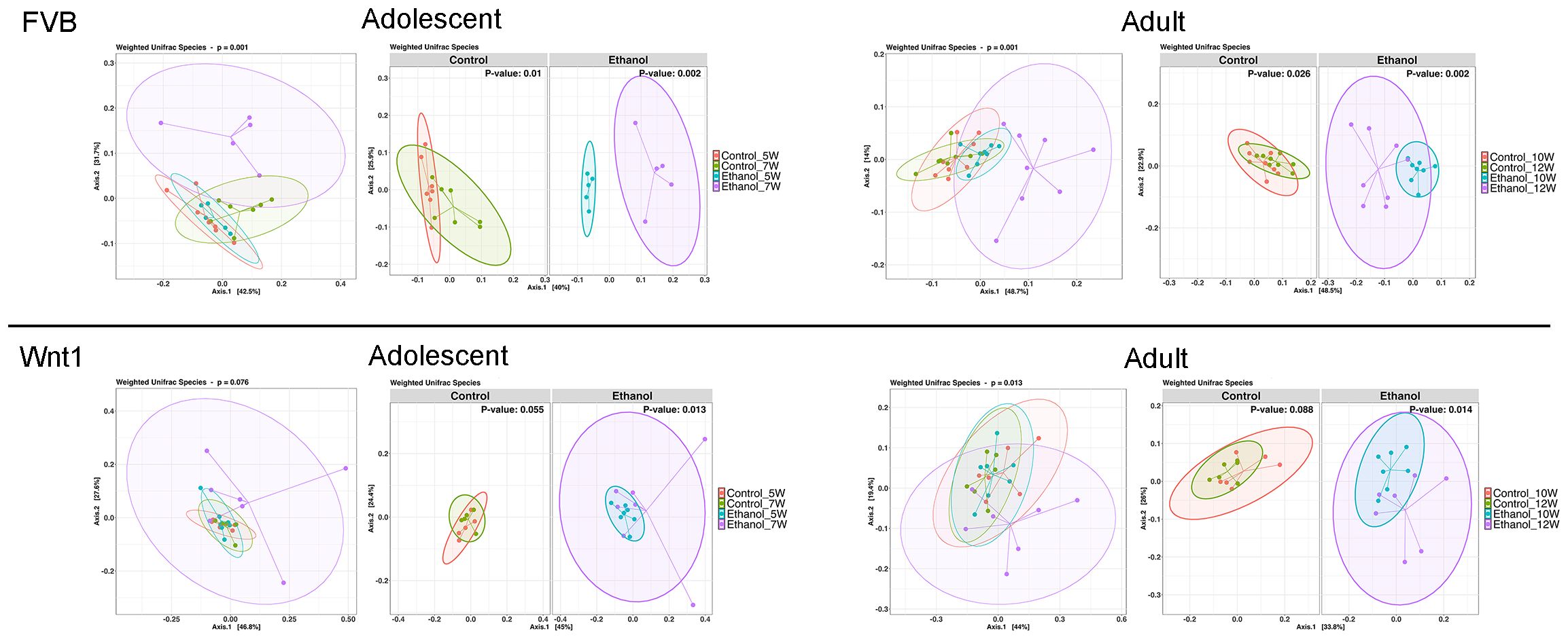 Four scatter plots compare microbial species diversity in FVB and Wnt1 mice by age and treatment. Each plot shows control versus ethanol groups with adolescent and adult categories, displaying weighted UniFrac species with p-values. Data points are color-coded based on weeks, with ellipses indicating variation among groups.