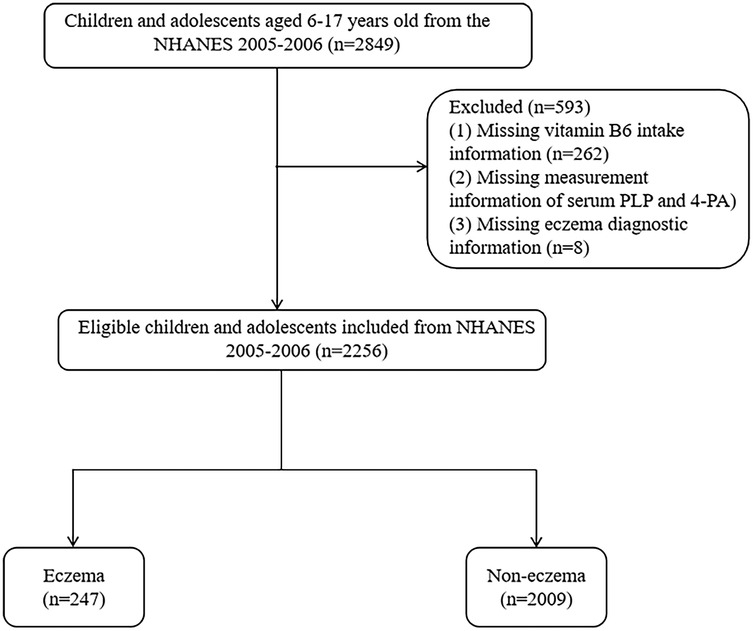 Flowchart showing the selection process for a study. Initially, 2,849 children and adolescents aged 6-17 from NHANES 2005-2006 were considered. Excluded were 593 participants due to missing data: vitamin B6 intake (262), serum PLP and 4-PA (323), and eczema diagnostic information (8). Eligible participants totaled 2,256, divided into those with eczema (247) and without eczema (2,009).