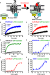 www.frontiersin.org