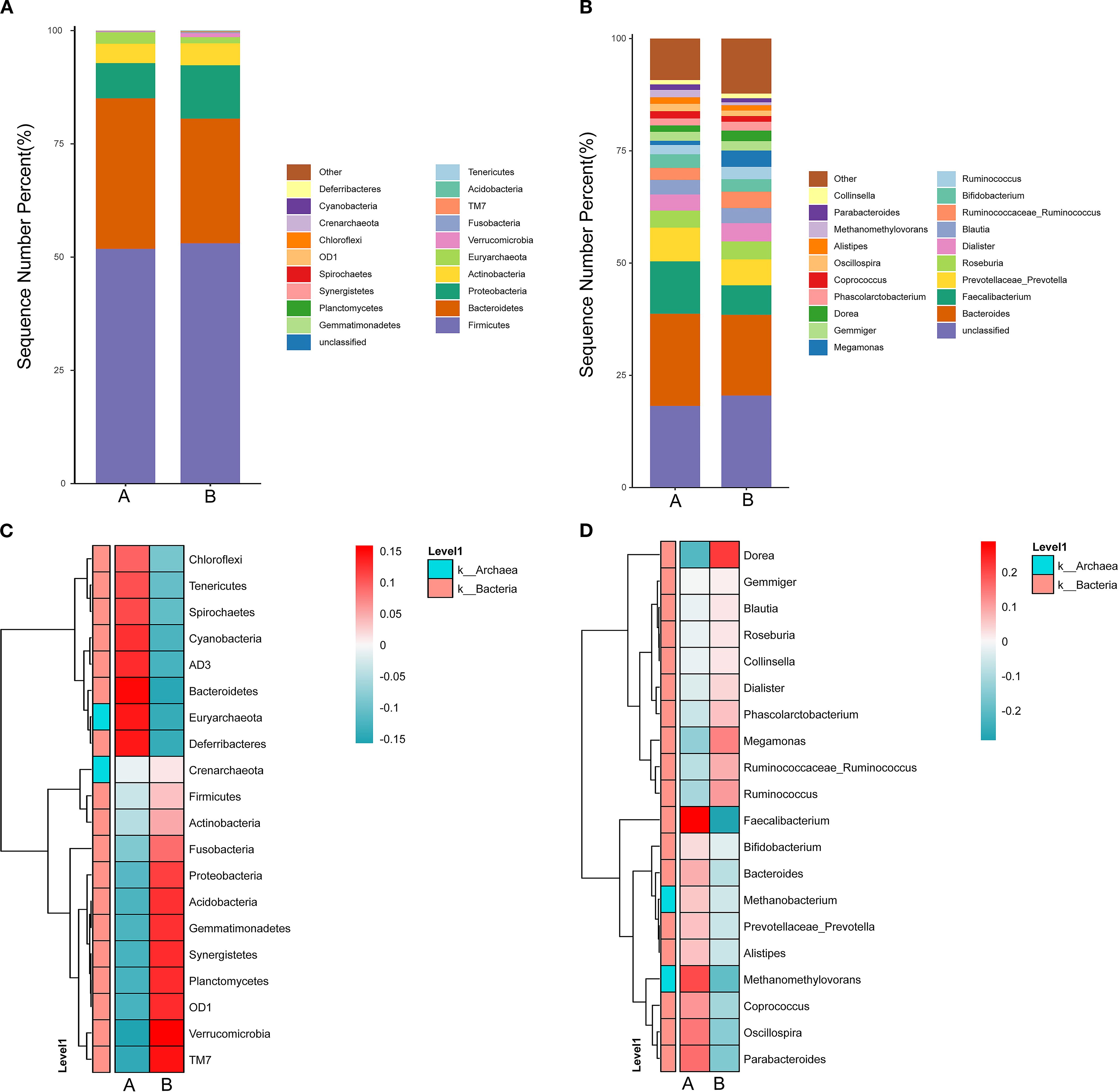 Two panels of data visualizations comparing microbial communities of samples A and B. Panel A shows two stacked bar charts with various phyla such as Firmicutes and Proteobacteria. Panel B displays similar stacked bar charts but for genera, including Ruminococcus and Bacteroides. Panels C and D present heatmaps depicting relative abundance changes for phyla and genera, respectively, with color scales indicating shifts in abundance.