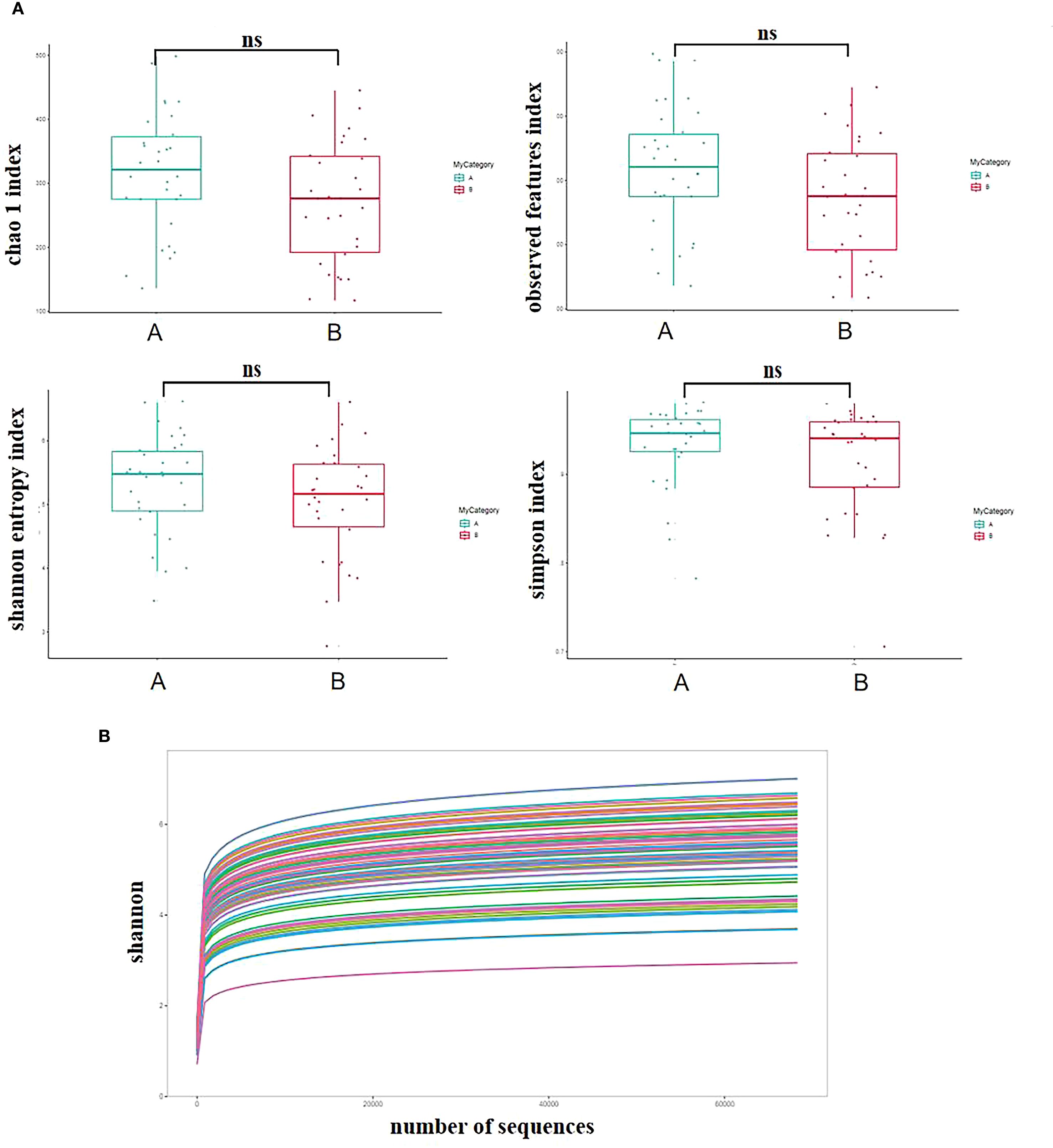 Four box plots compare diversity indices (Chao1, observed features, Shannon entropy, Simpson) between categories A and B, showing no significant differences. Below, a rarefaction curve graphically displays the Shannon index against the number of sequences, with multiple colored lines representing various samples.