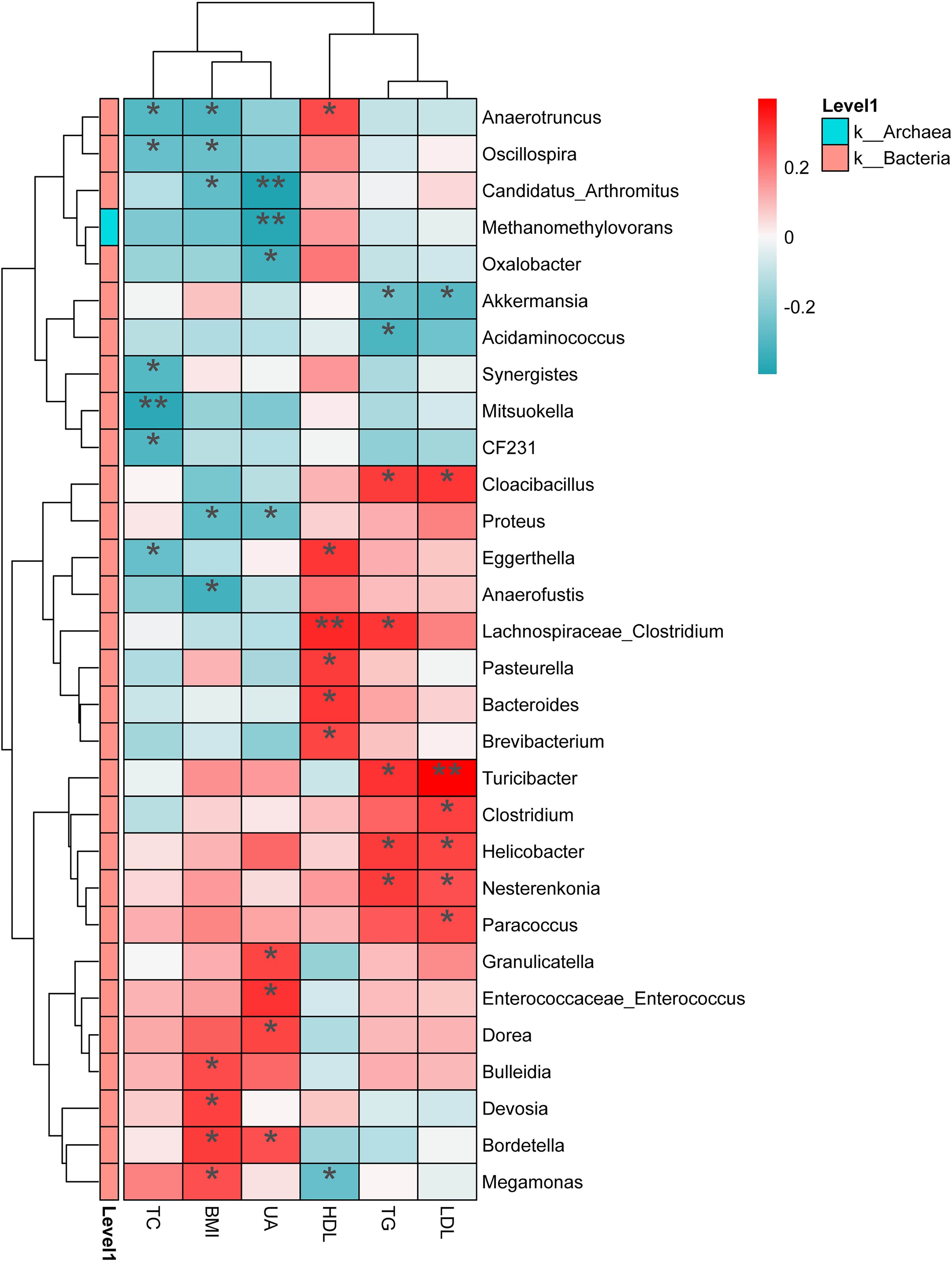 Heatmap showing bacterial and archaeal abundance across various conditions: HDL, TG, LDL, UA, BMI, and TC. Rows represent species; columns are conditions. Color gradient from red (higher abundance) to blue (lower abundance) indicates microbial levels. Stars mark statistical significance. Clustering dendrograms display similarity relationships.