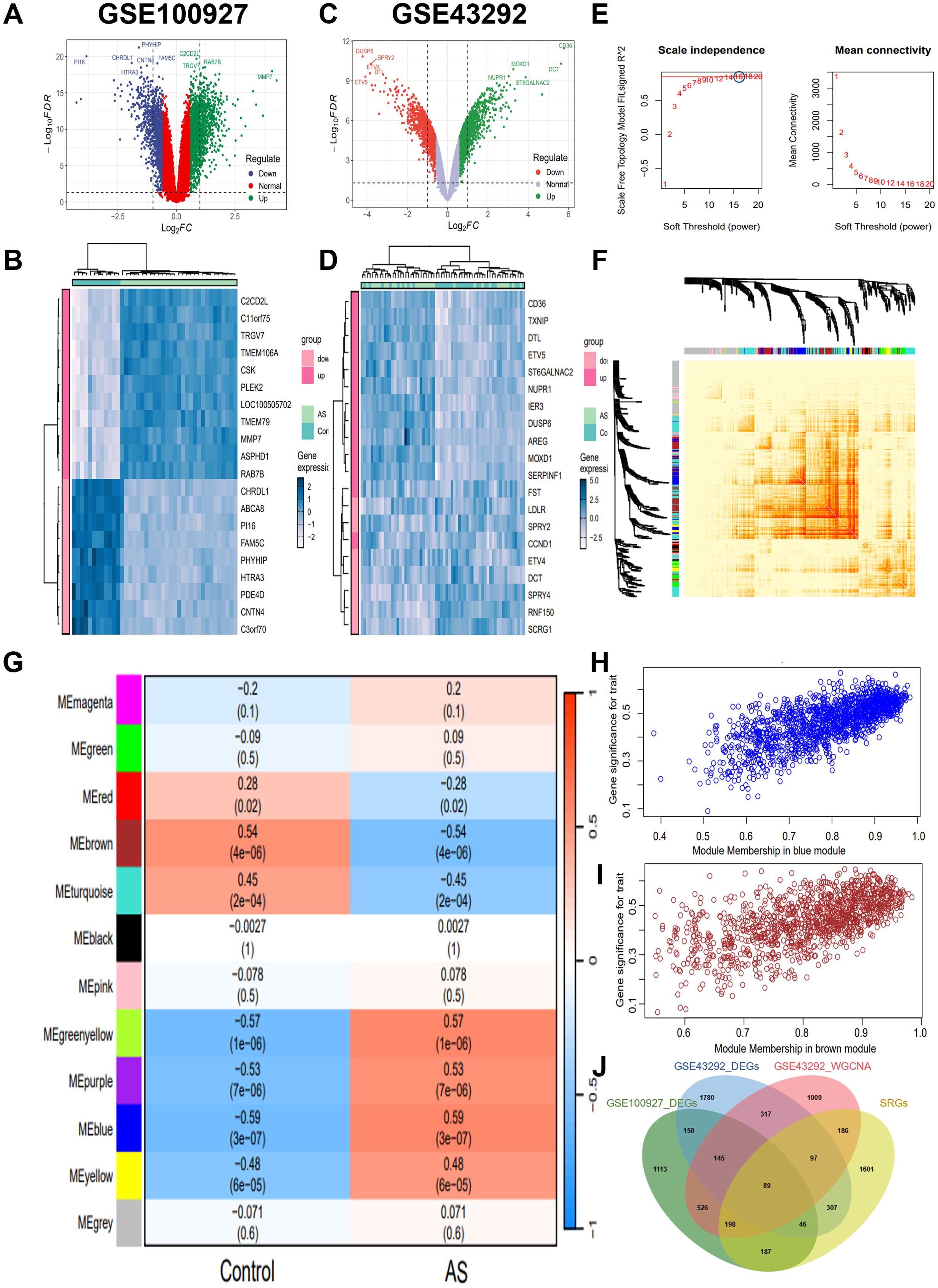 The image contains multiple panels of bioinformatics analysis. Panels A and C show volcano plots depicting differentially expressed genes. B and D are heatmaps of gene expression data. Panel E features two line graphs for scale independence and mean connectivity. Panel F presents a clustered heatmap of module-trait relationships. G is a heatmap showing module-trait correlations with a color key. Panels H and I illustrate scatter plots of gene significance versus module membership. Panel J is a Venn diagram showing overlapping gene sets across different analyses.