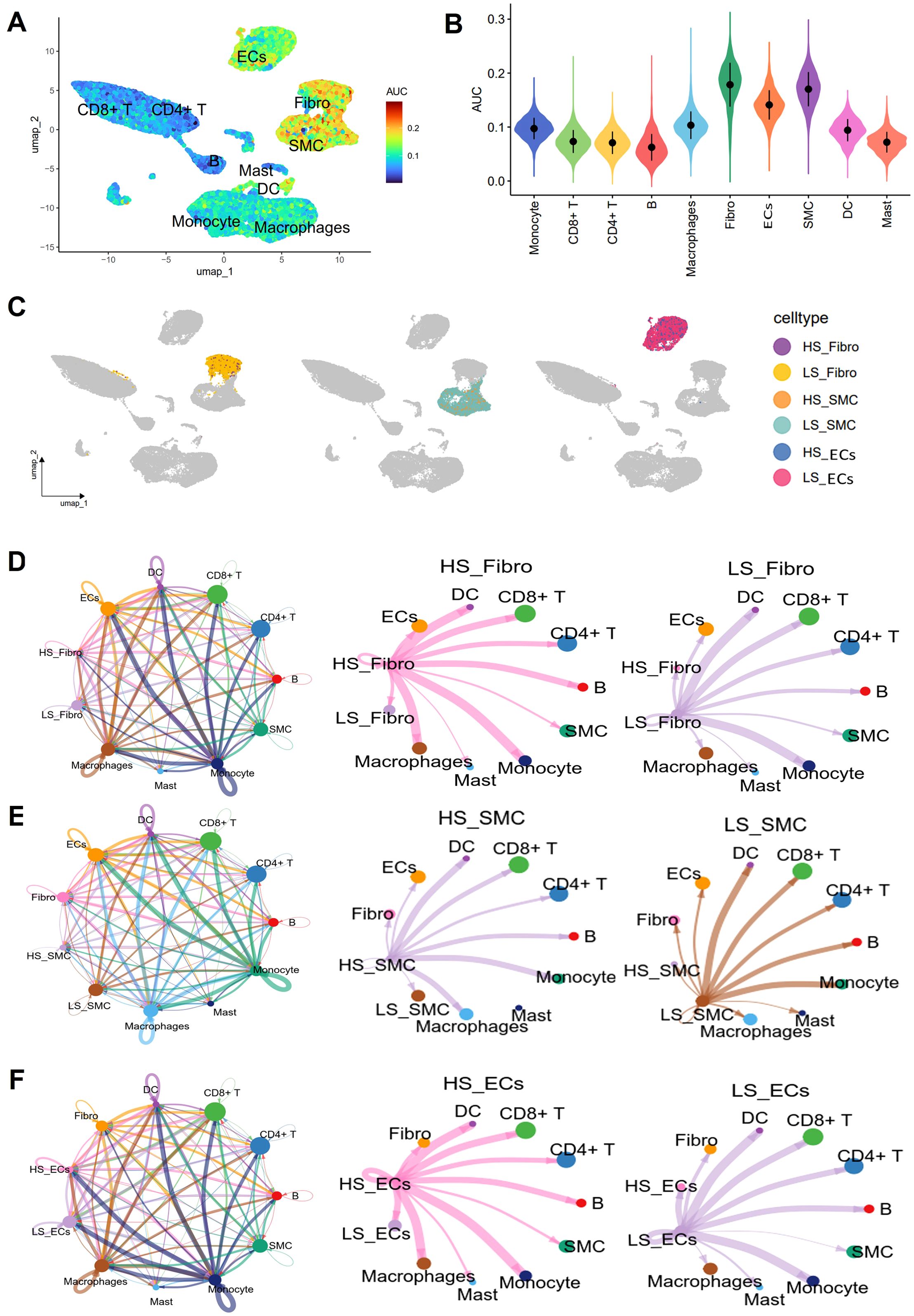 Panel A shows a UMAP plot depicting cell types colored by the area under the curve (AUC) value. Panel B presents a violin plot illustrating AUC distribution across various cell types. Panel C features UMAP plots showing different cell types by color. Panels D, E, and F display network diagrams with nodes representing cell types and edges indicating interactions, differentiated by color and line thickness, highlighting various conditions such as HS_Fibro, LS_Fibro, HS_SMC, LS_SMC, HS_ECs, and LS_ECs.
