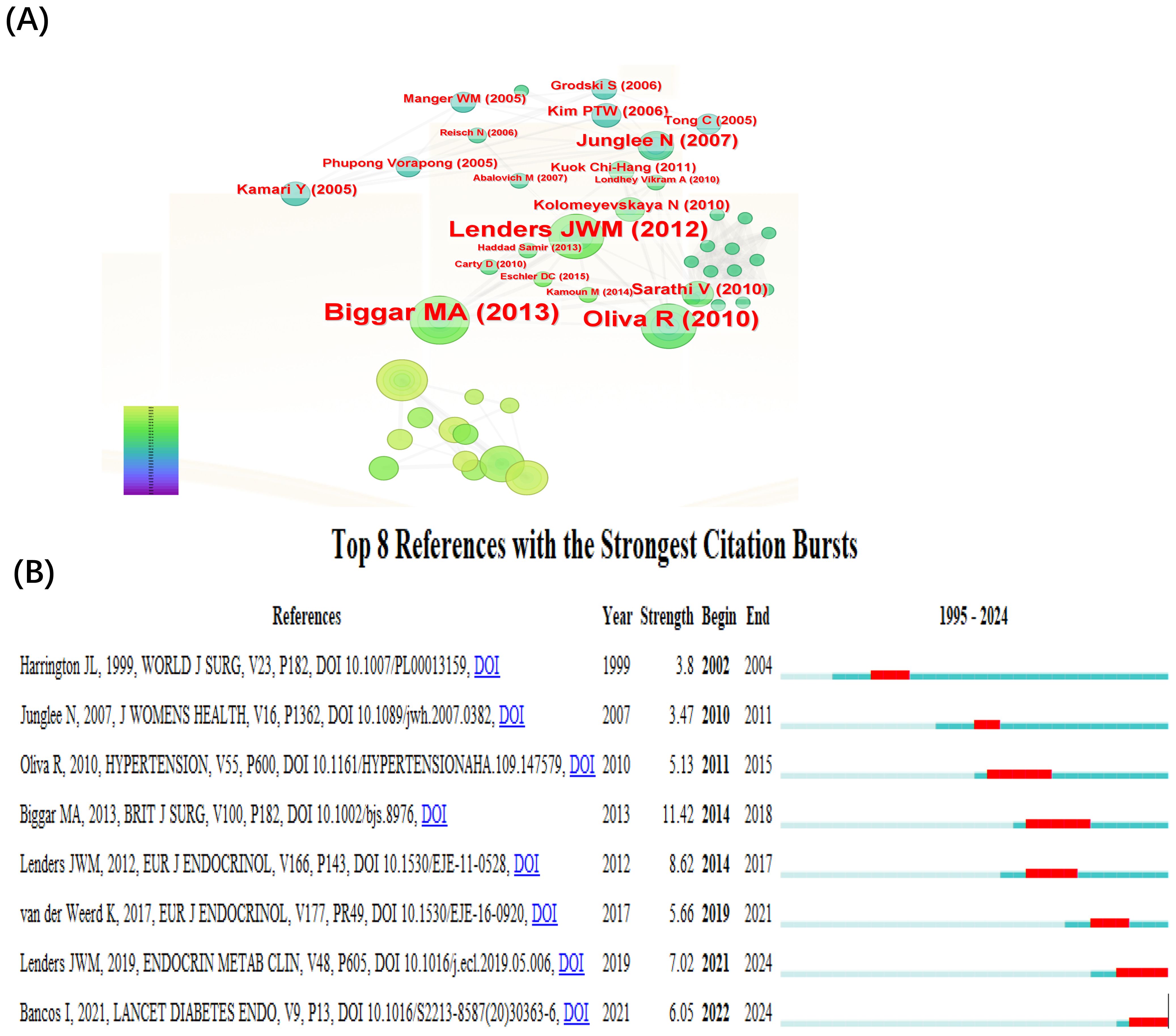 Graph depicting citation bursts and a table of top references with the strongest citation bursts. The graph (A) visualizes citation strength using colored circles labeled with authors and years. The table (B) lists eight references, showing year, strength, start and end year of bursts, with visual bars indicating burst periods from 1995 to 2024.