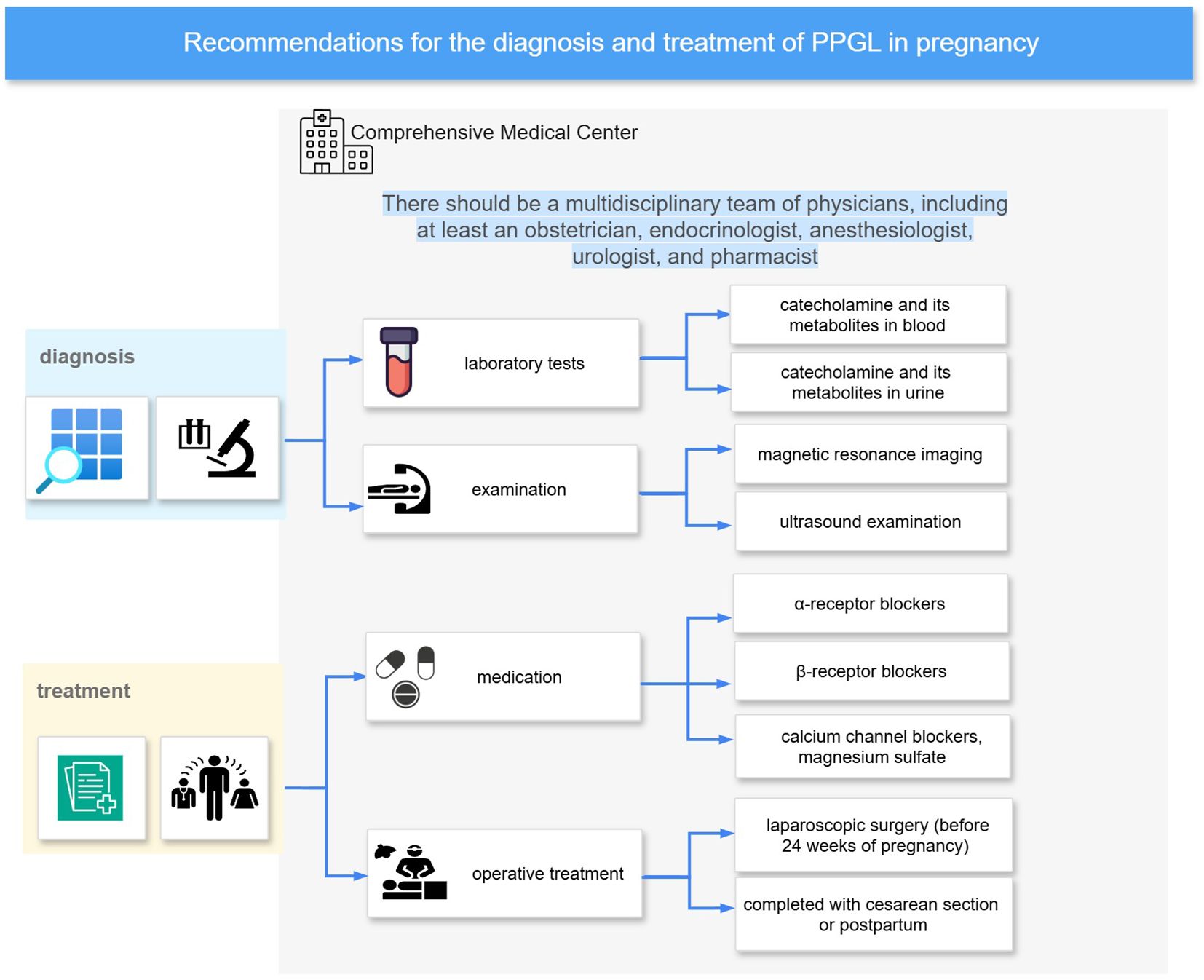 Recommendations for diagnosing and treating PPGL in pregnancy include a multidisciplinary team of physicians. Diagnosis involves laboratory tests and examinations such as MRI and ultrasound, while treatment includes medication, such as receptor blockers and calcium channel blockers, and operative treatment options like laparoscopic surgery or a C-section.
