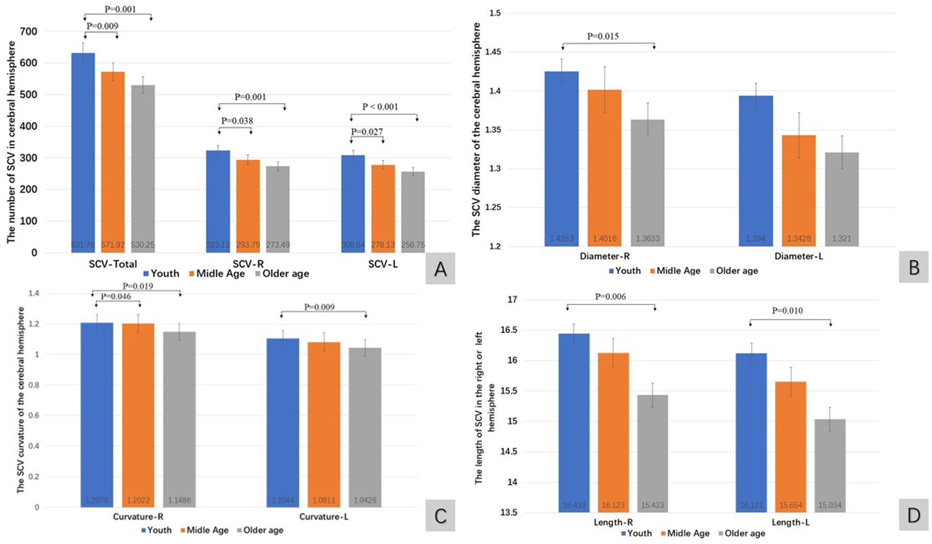 Four bar charts labeled A, B, C, and D compare the number, diameter, curvature, and length of SCV in cerebral hemispheres across different age groups (Youth, Middle Age, Older Age). Chart A shows SCV numbers, with Youth having the highest and Older Age the lowest. Chart B depicts SCV diameter, with Youth again leading. Chart C illustrates SCV curvature, showing minor age differences. Chart D presents SCV length, where Youth and Middle Age are close, with Older Age lowest. Significant p-values indicate statistical differences between age groups.