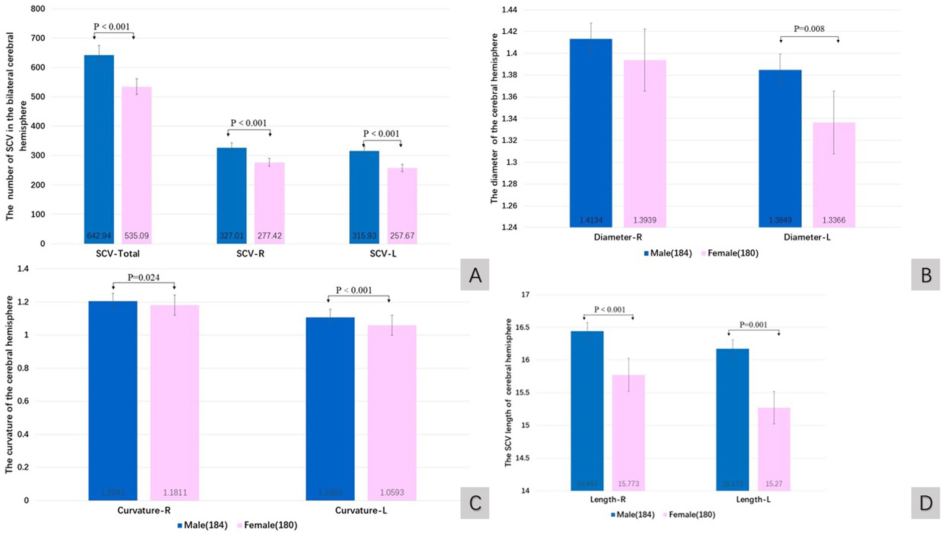 Bar graphs comparing male and female cerebral measurements. Chart A shows higher SCV numbers in males. Chart B illustrates larger diameters in males. Chart C shows slight male superiority in curvatures. Chart D depicts longer SCV lengths in males. Statistical significance is indicated with p-values.