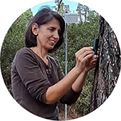 Mariangela N. Fotelli