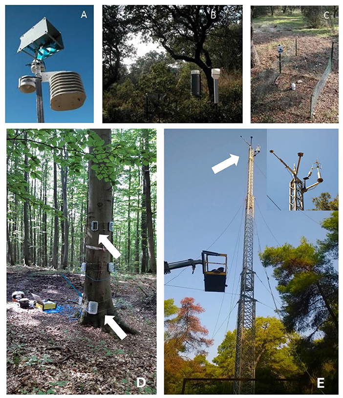 Four panels labeled A to E show different environmental monitoring installations. Panel A features a weather station with sensors mounted on a pole. Panel B shows two cylindrical sensors attached to a tree in a forest. Panel C presents a small fenced area with multiple sensors on the ground. Panel D displays a tree equipped with multiple sensors attached around its trunk. Panel E highlights a tall tower with sensors and a person in a crane basket working near the top. Each panel has arrows pointing to specific equipment.