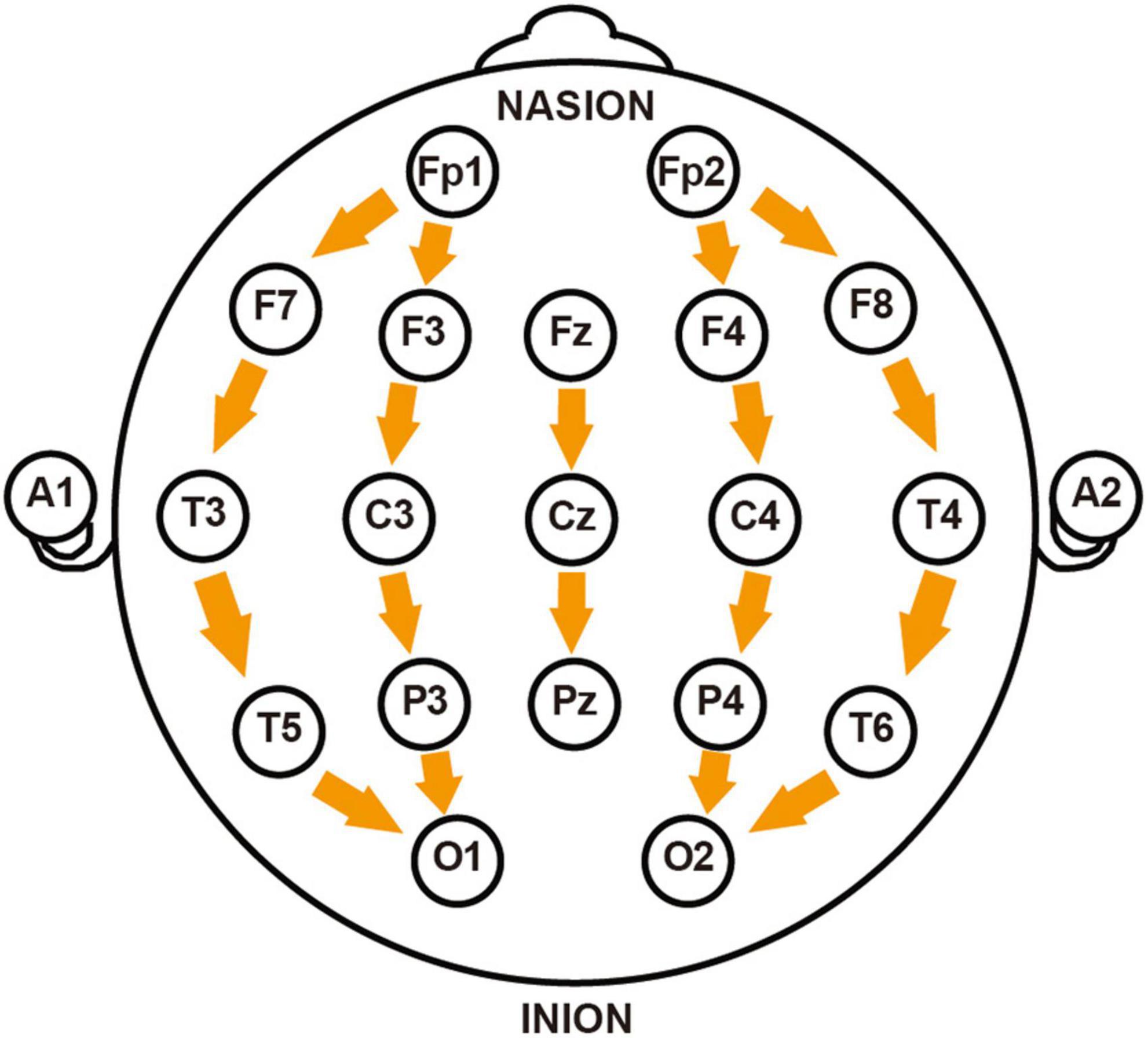 www.frontiersin.org