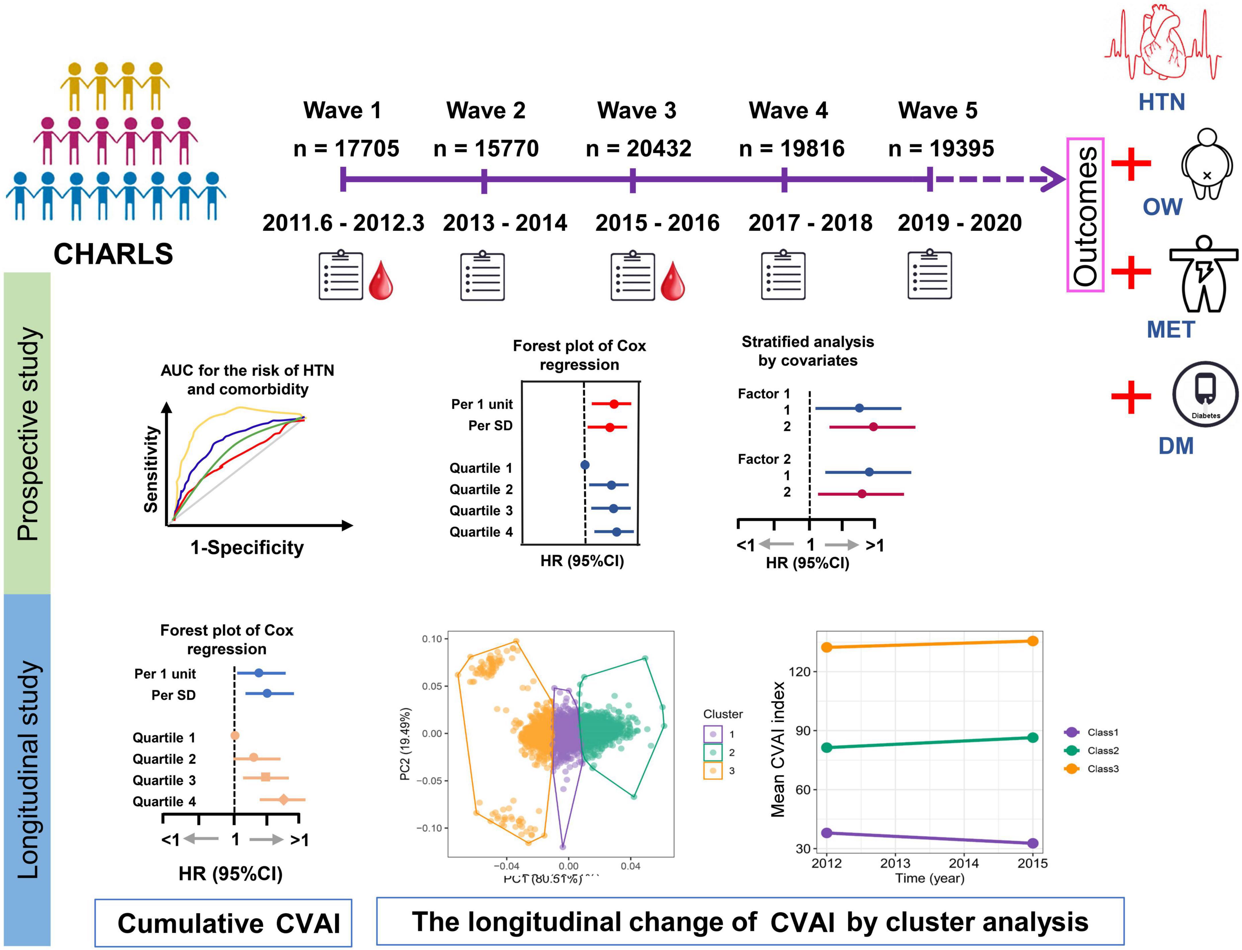 Timeline and study design for CHARLS, involving five waves from 2011 to 2020, investigating outcomes like hypertension (HTN), overweight (OW), metabolic syndrome (MET), and diabetes mellitus (DM). Includes prospective and longitudinal studies with Cox regression forest plots, ROC curves for HTN risk, and cluster analysis of CVAI.