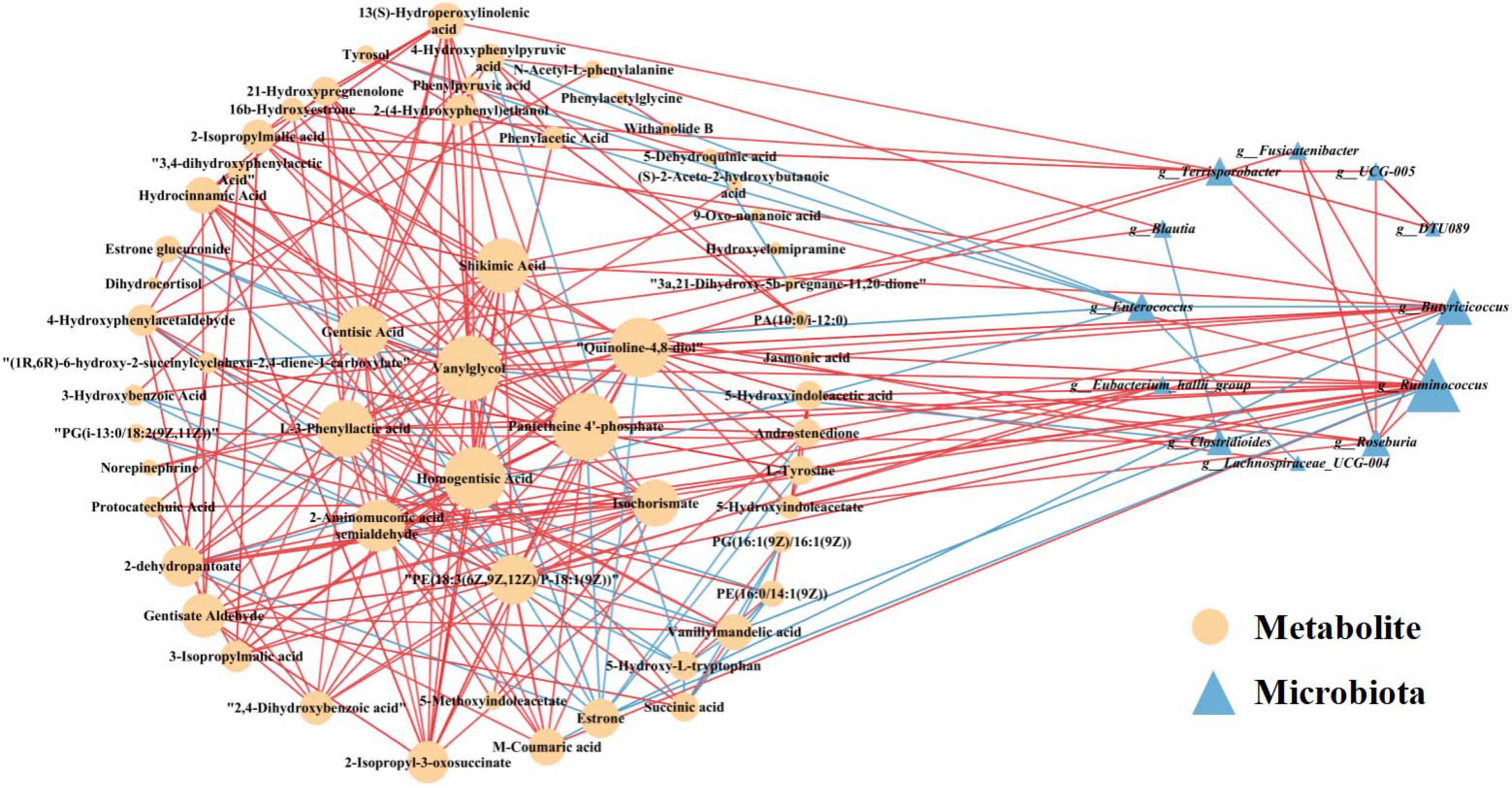 Network diagram illustrating interactions between metabolites and microbiota. Orange circles represent metabolites, while blue triangles depict microbiota. Red and blue lines indicate relationships between them, reflecting complex interconnections.