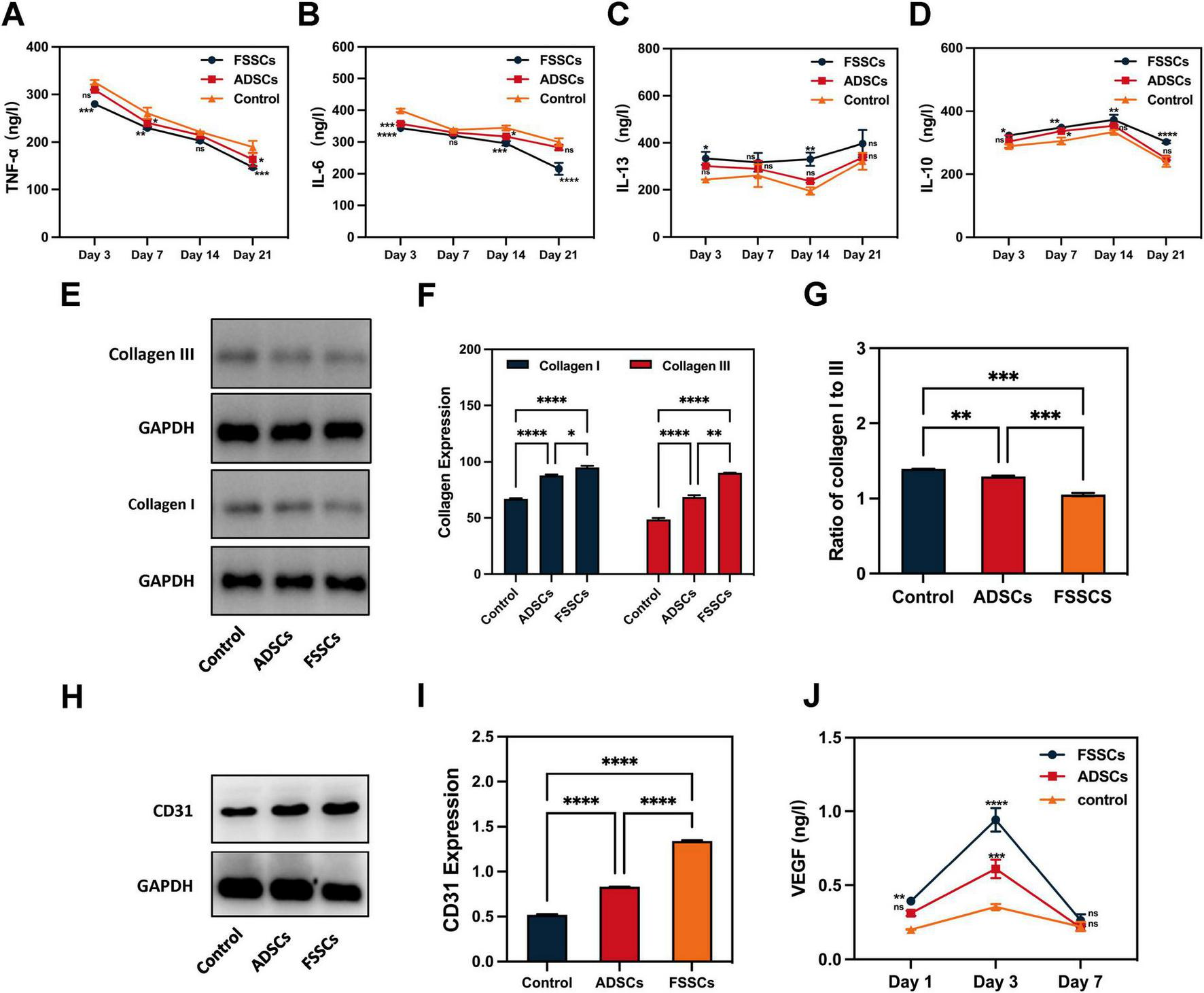 Graphs and blots illustrate experimental results comparing FSSCs, ADSCs, and controls. Charts A-D show cytokine levels over 21 days: TNF-α, IL-6, IL-13, and IL-10. Blot E and chart F display collagen I and III expressions; G shows the collagen I to III ratio. Blot H and chart I illustrate CD31 expression. Chart J presents VEGF levels over seven days. Statistical significance is indicated by asterisks.