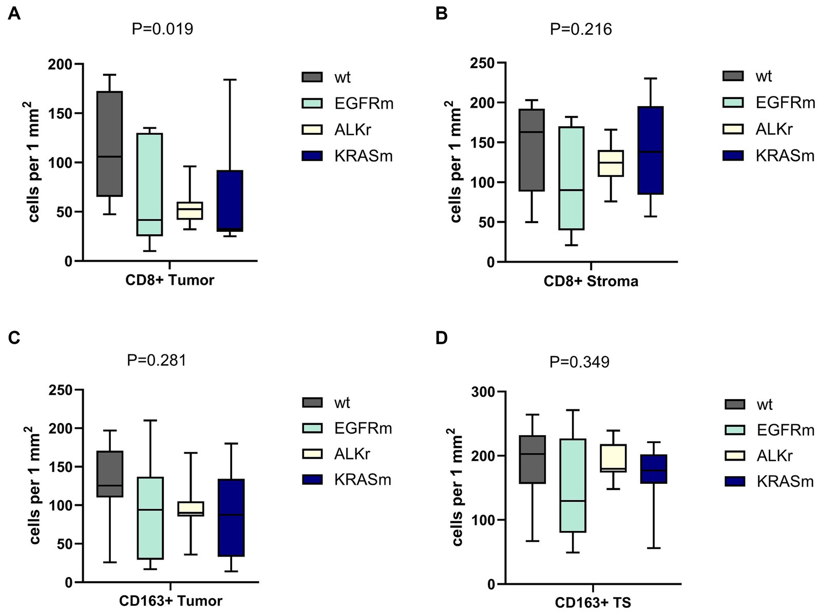 Four box plots showing immune cell densities across different mutations: CD8+ Tumor (p=0.019) and CD8+ Stroma (p=0.216) in the top row, CD163+ Tumor (p=0.281) and CD163+ Tumor Stroma (p=0.349) in the bottom row. Categories are wt, EGFRm, ALKr, and KRASm. The y-axis indicates cells per square millimeter.
